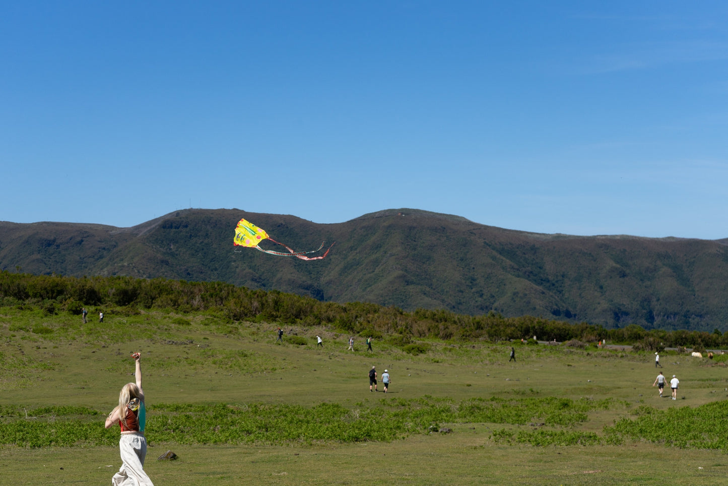 Pocket Kite