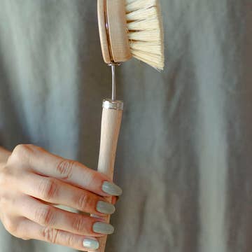 Long Handled Dish Brush