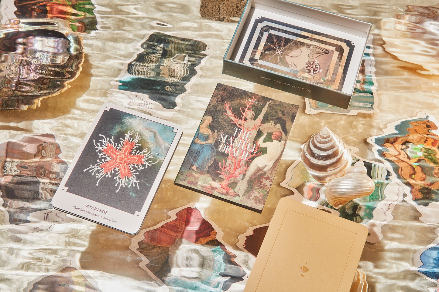 Seashell Oracle Deck