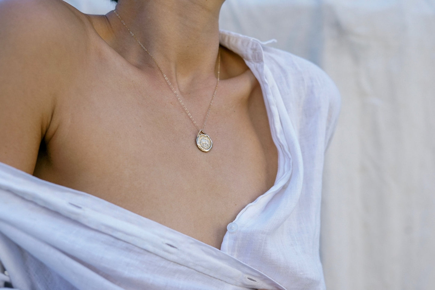 Roma Necklace - Silver