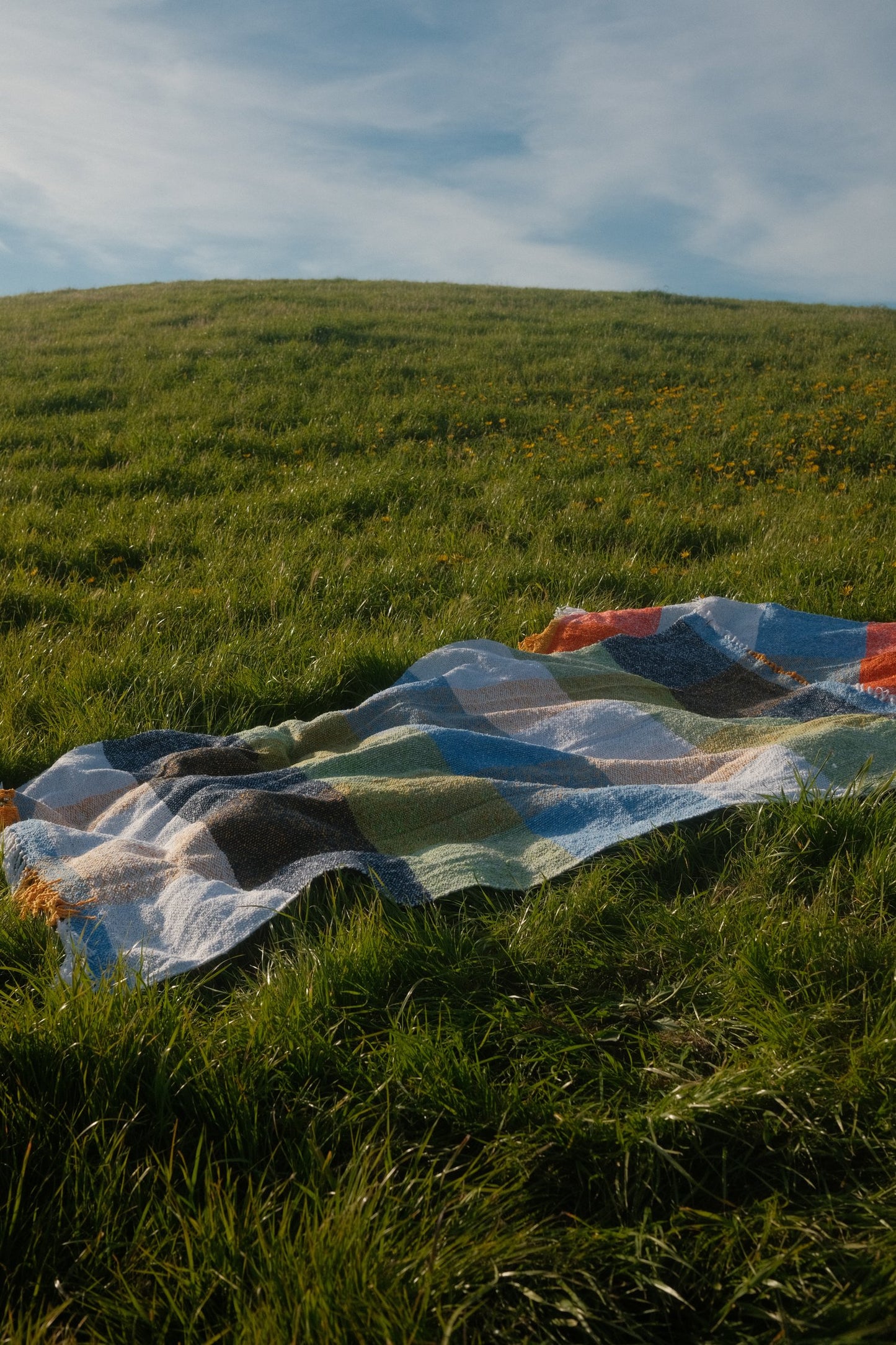 Suave Kiwi - Woven Blanket