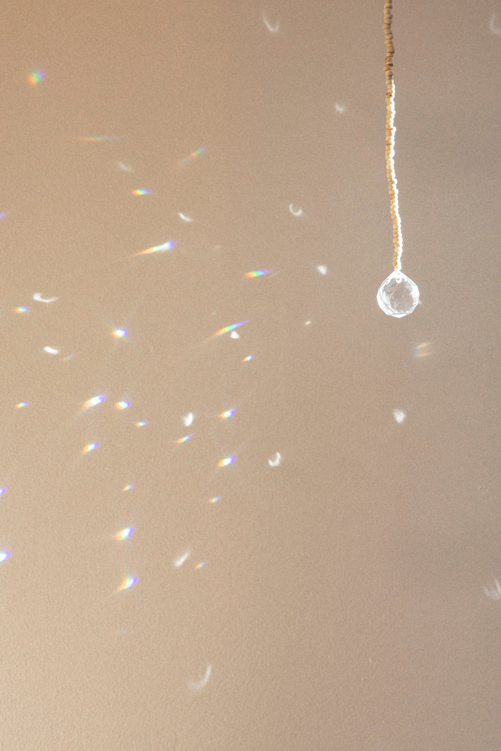 Comet - Animal Light Catcher