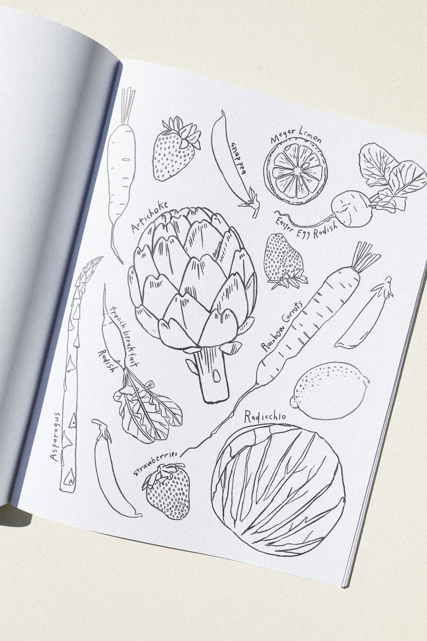A Garden For All Seasons Coloring Book