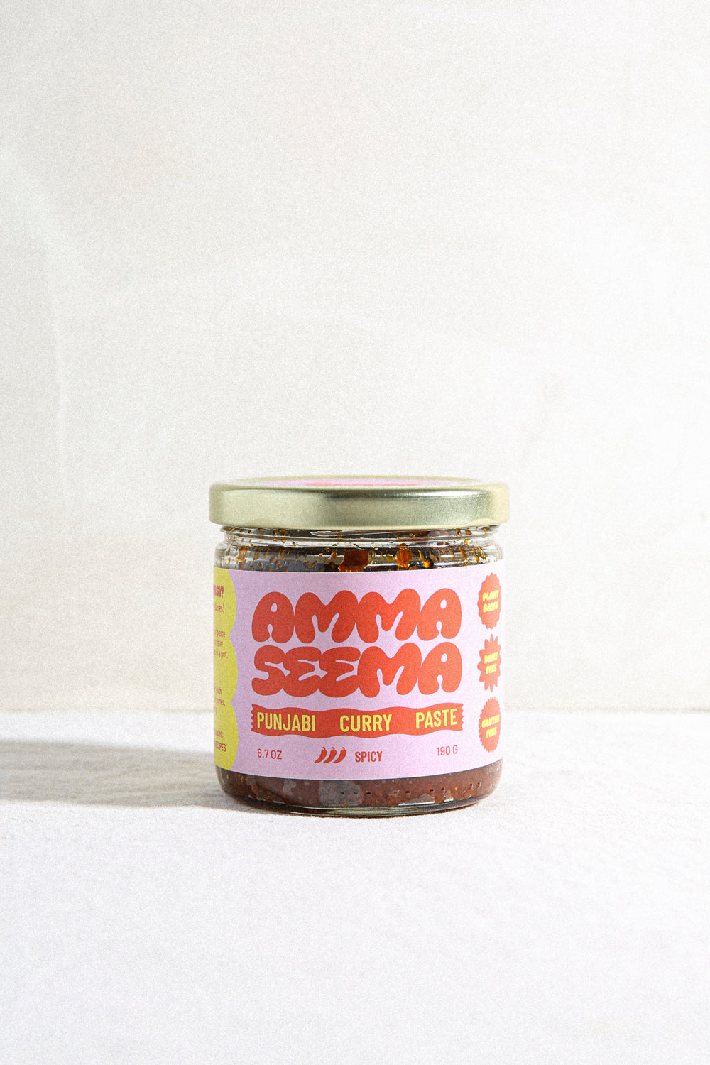 Spicy Punjabi Curry Paste