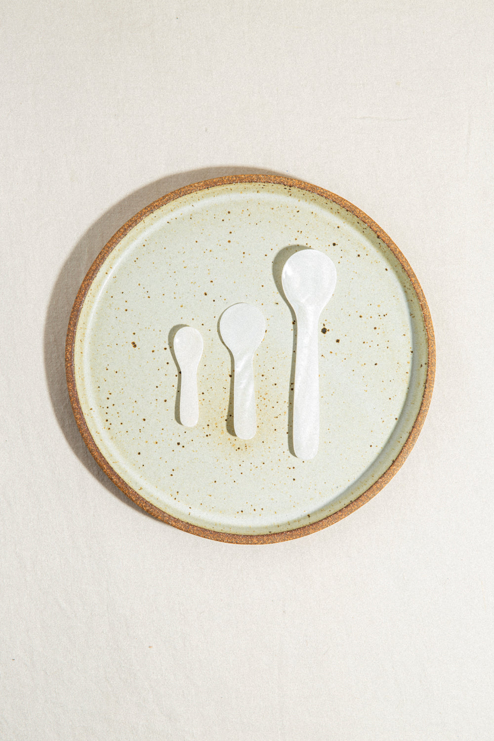 Seashell Salt Spoon