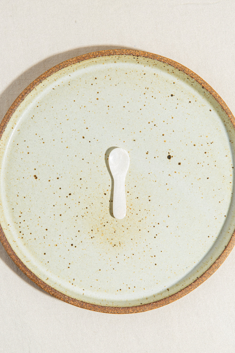 Seashell Salt Spoon