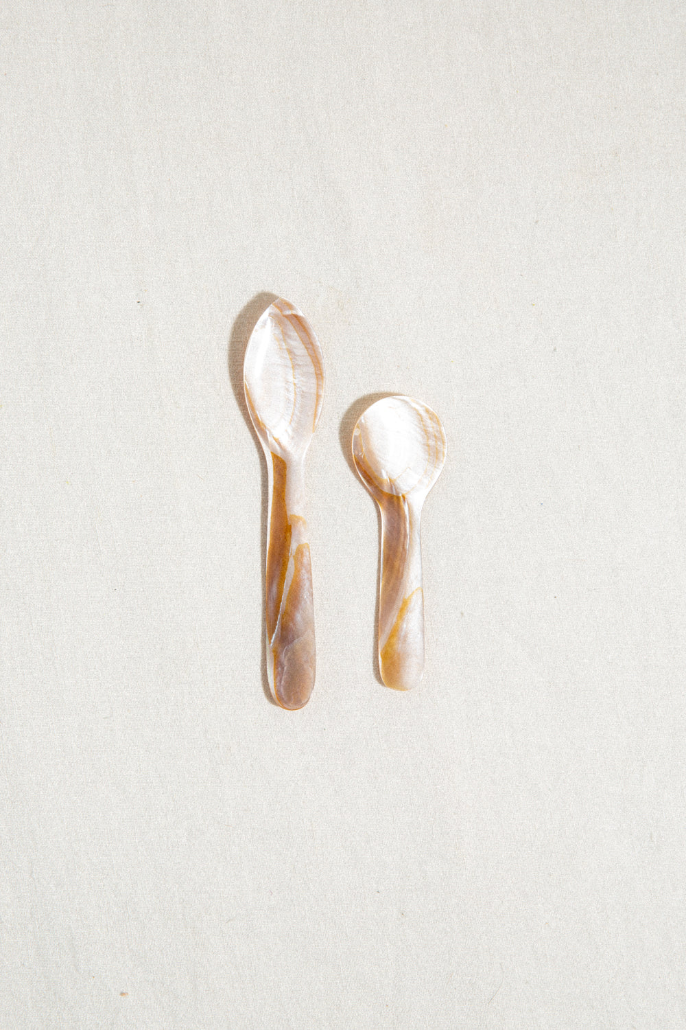 Seashell Salt Spoon