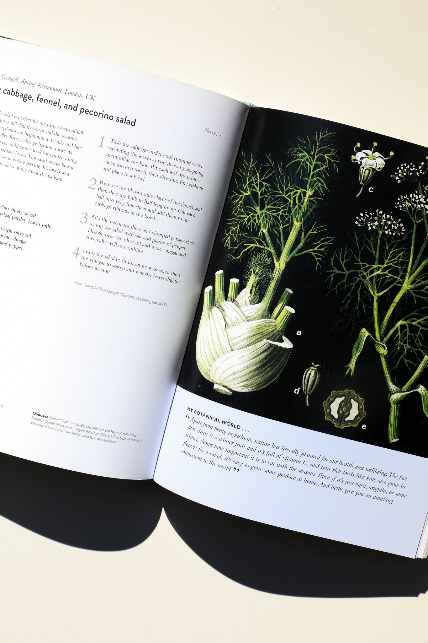 The Botanical Bible