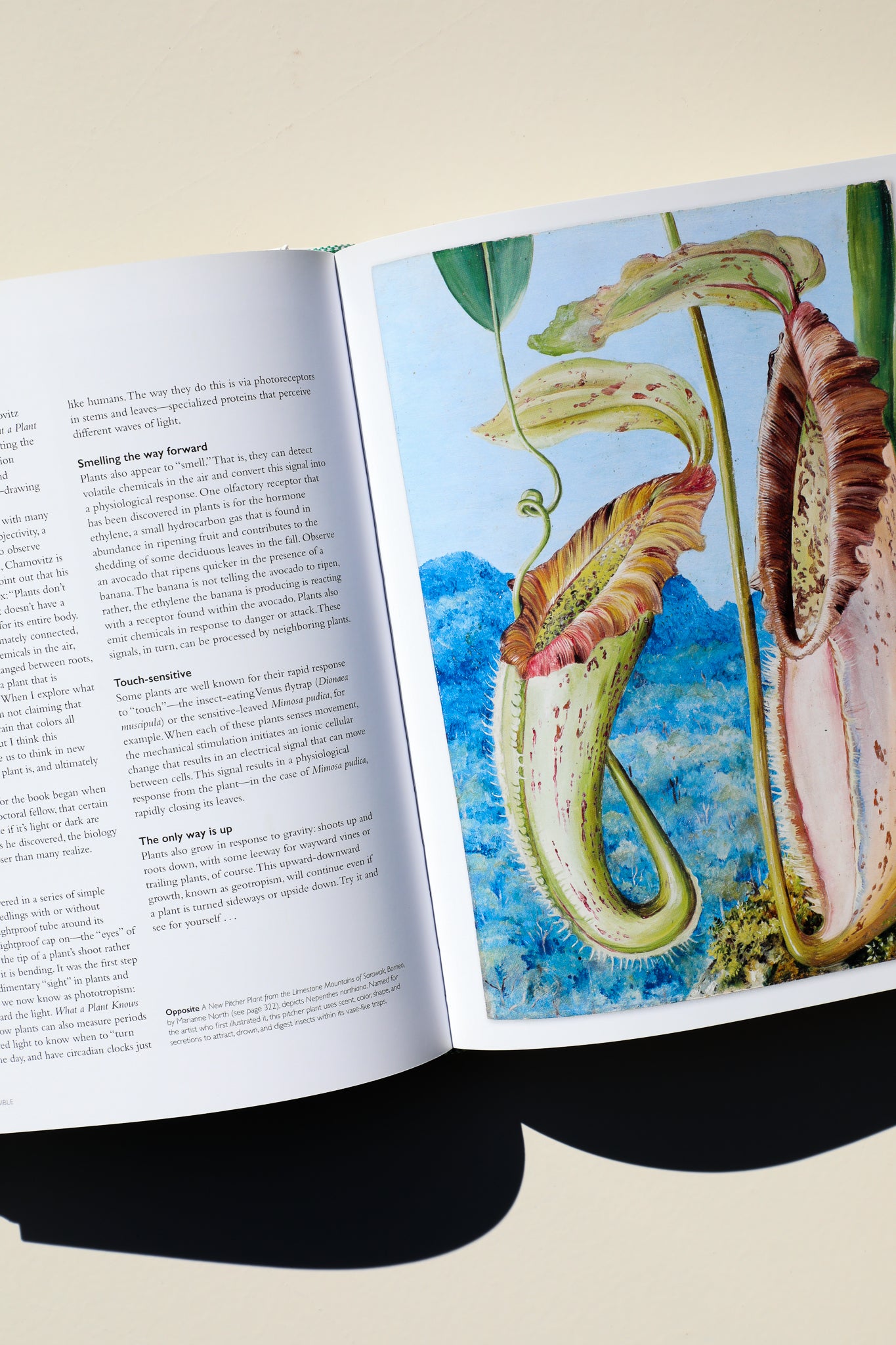 The Botanical Bible