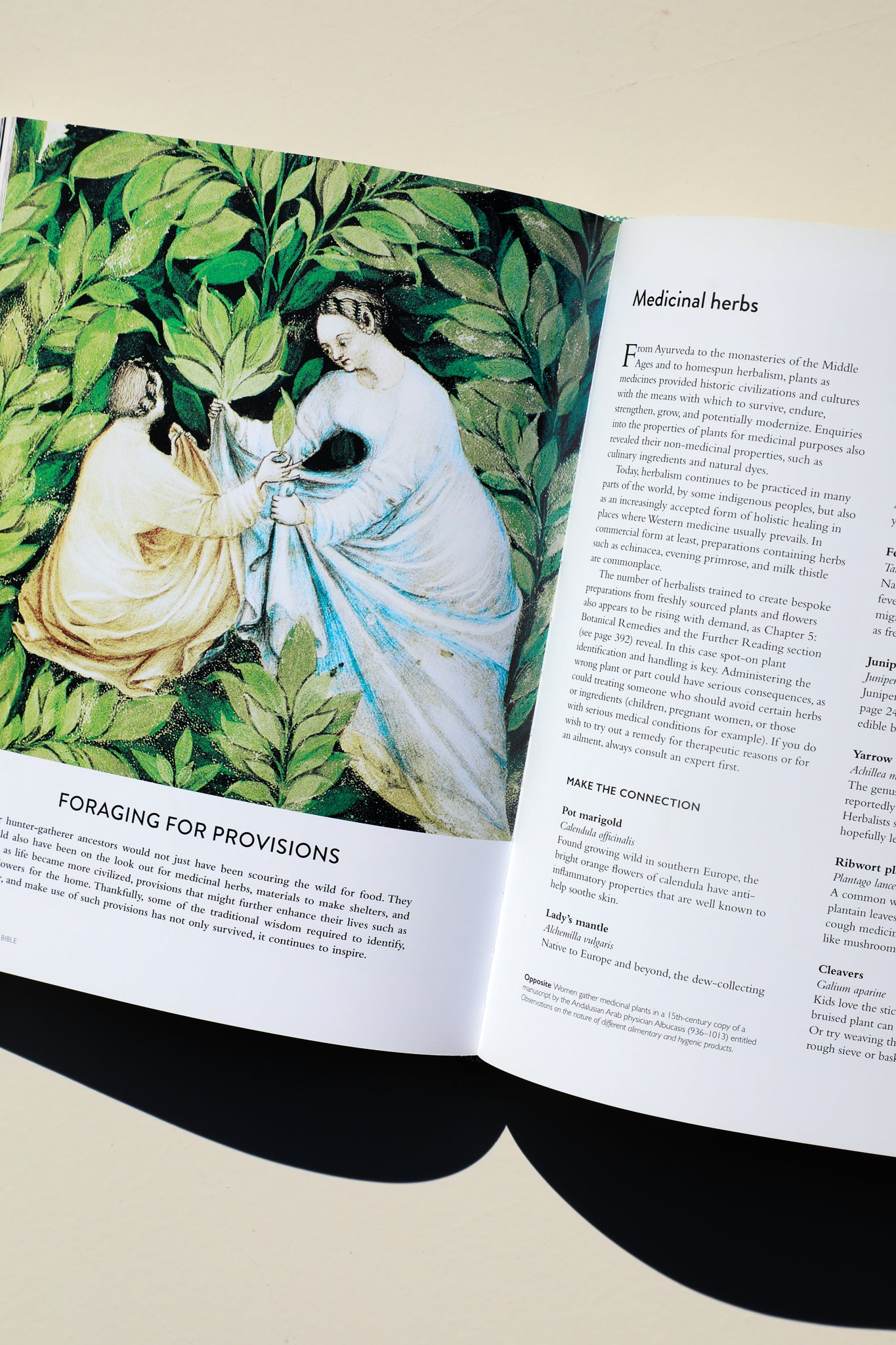 The Botanical Bible