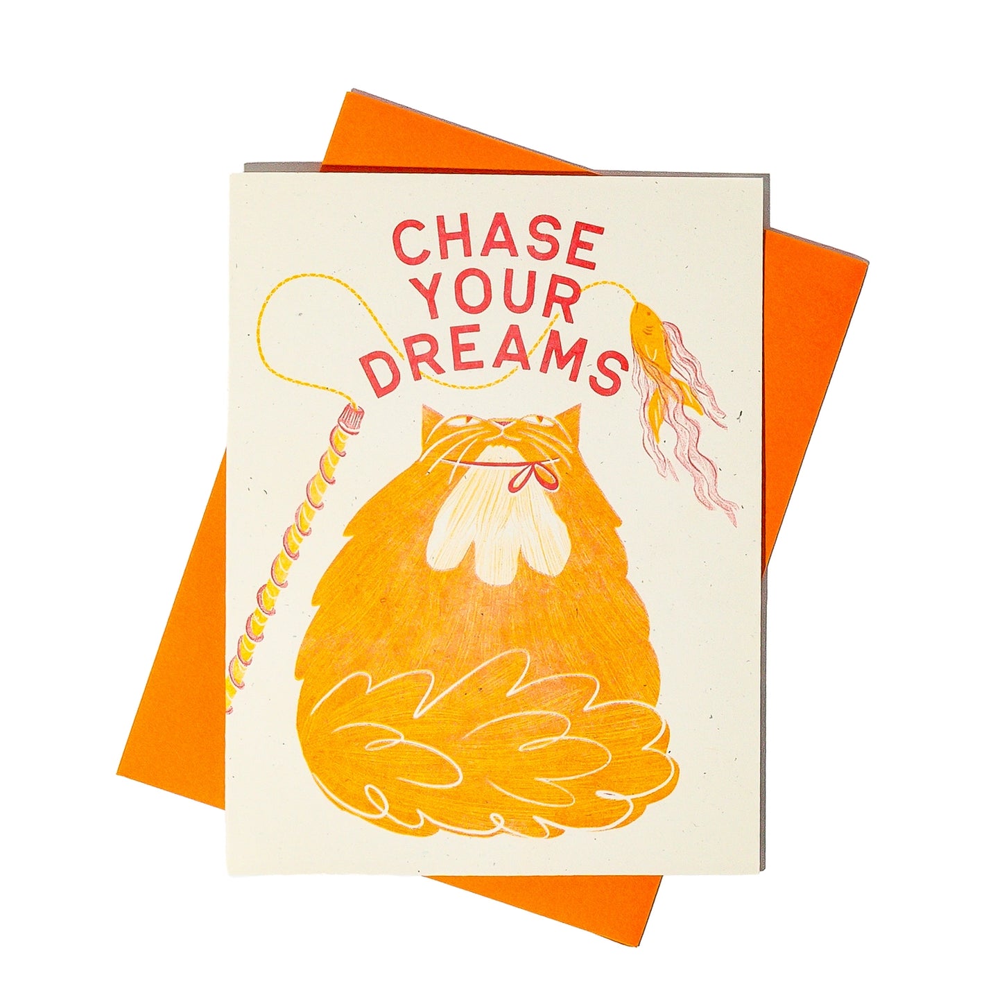 Chase Your Dreams Greeting Card