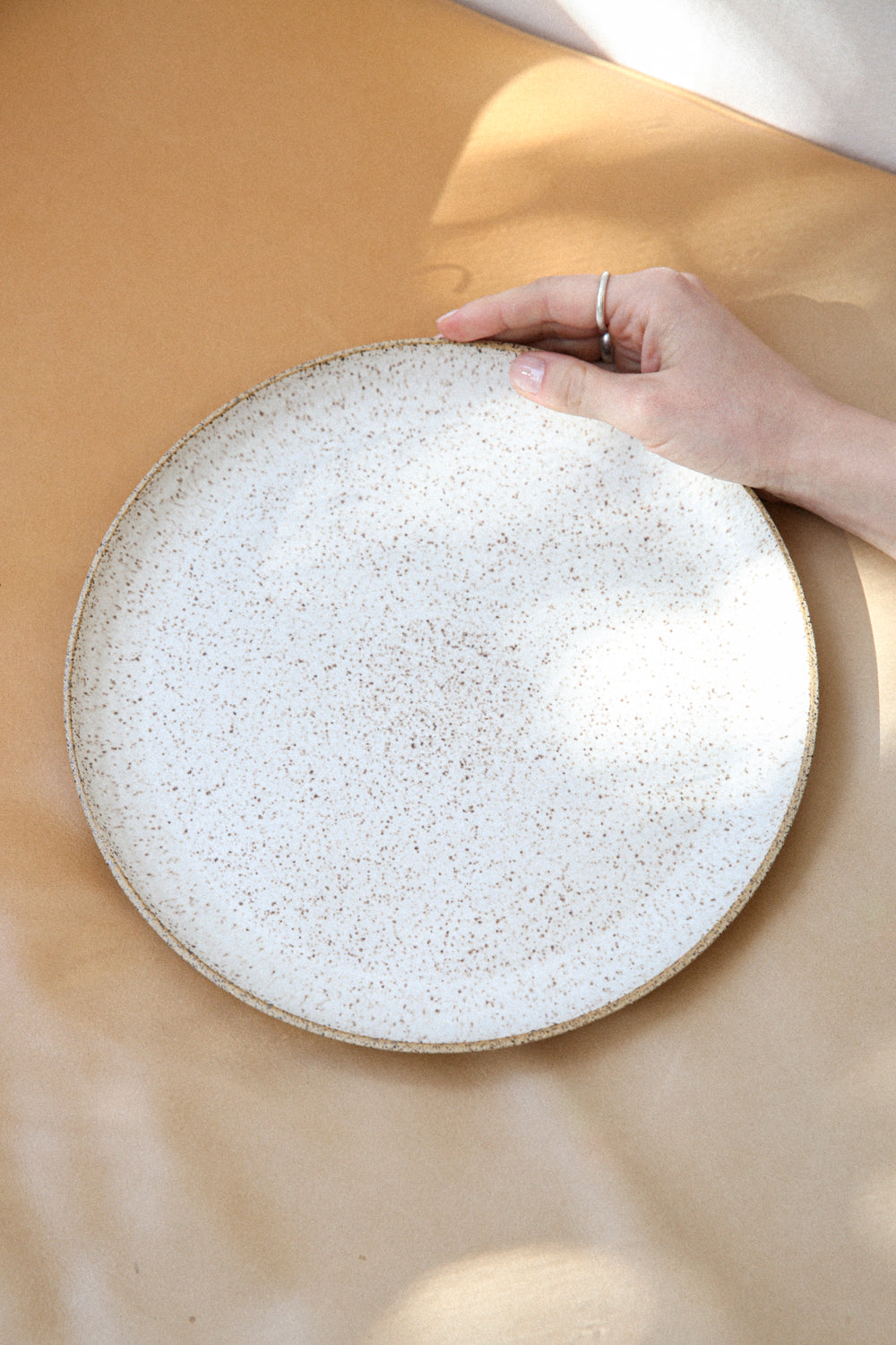 Dinner Plate / No. 01