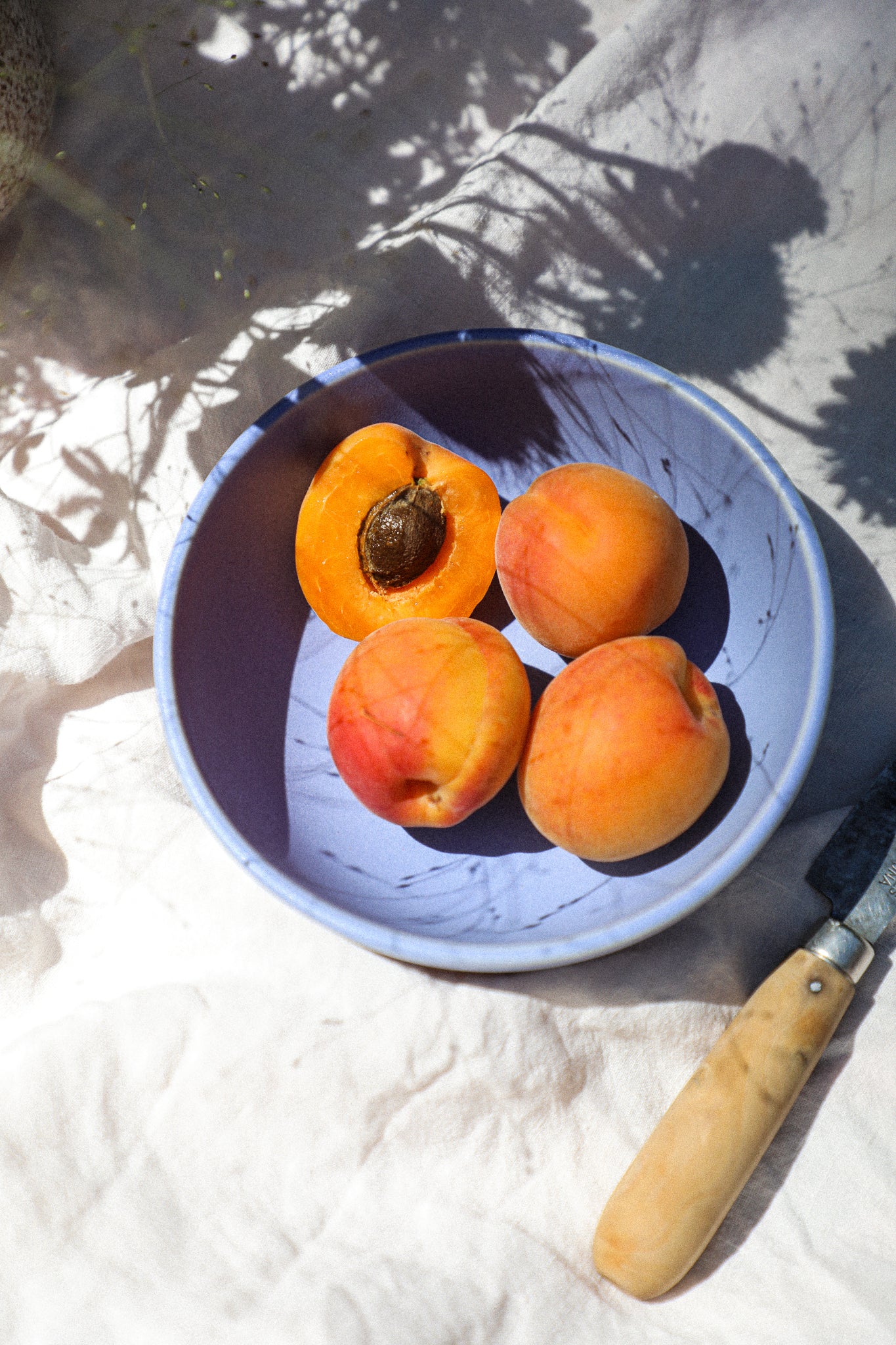 Snack Bowl / Forget Me Not