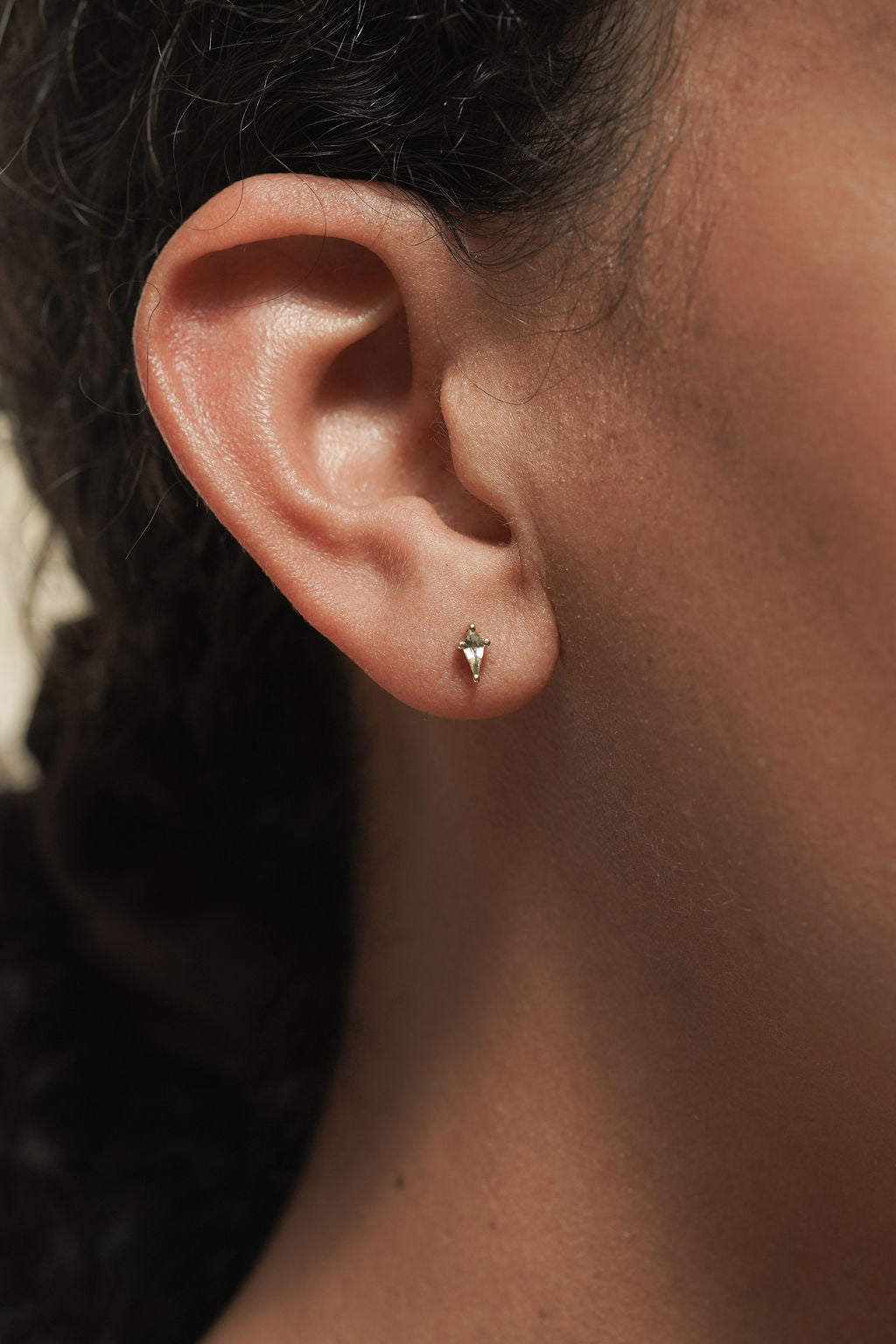 Shield Studs