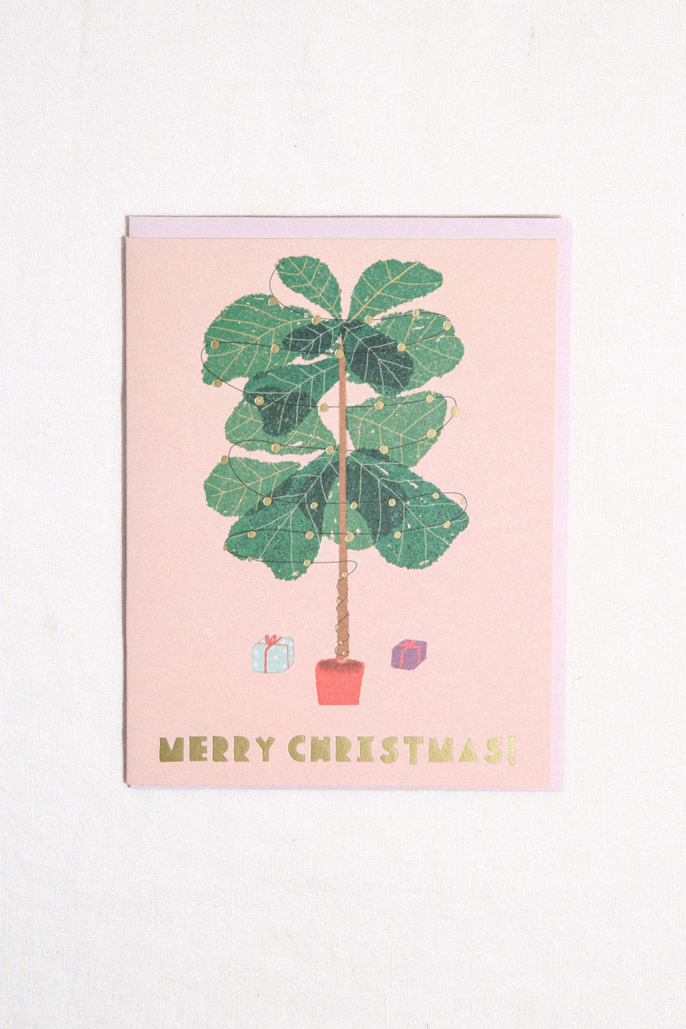 Christmas Ficus Tree Greeting Card