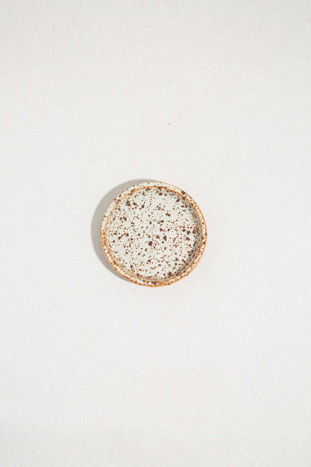 Offering Dish / Appaloosa