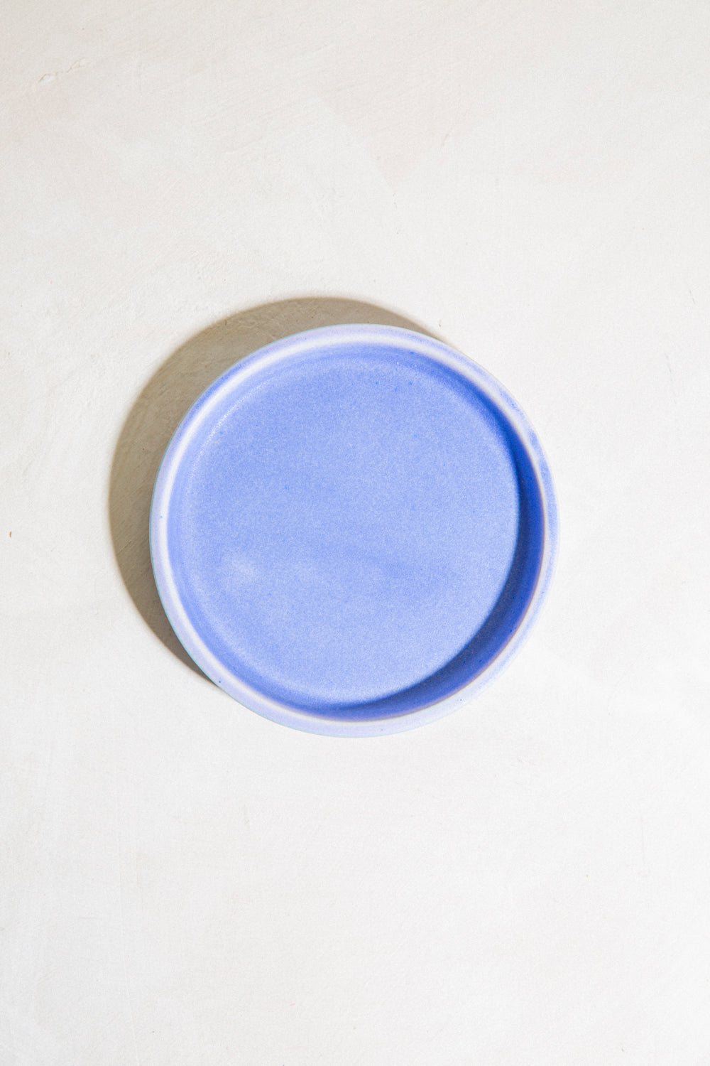 Olive Dish / Forget Me Not