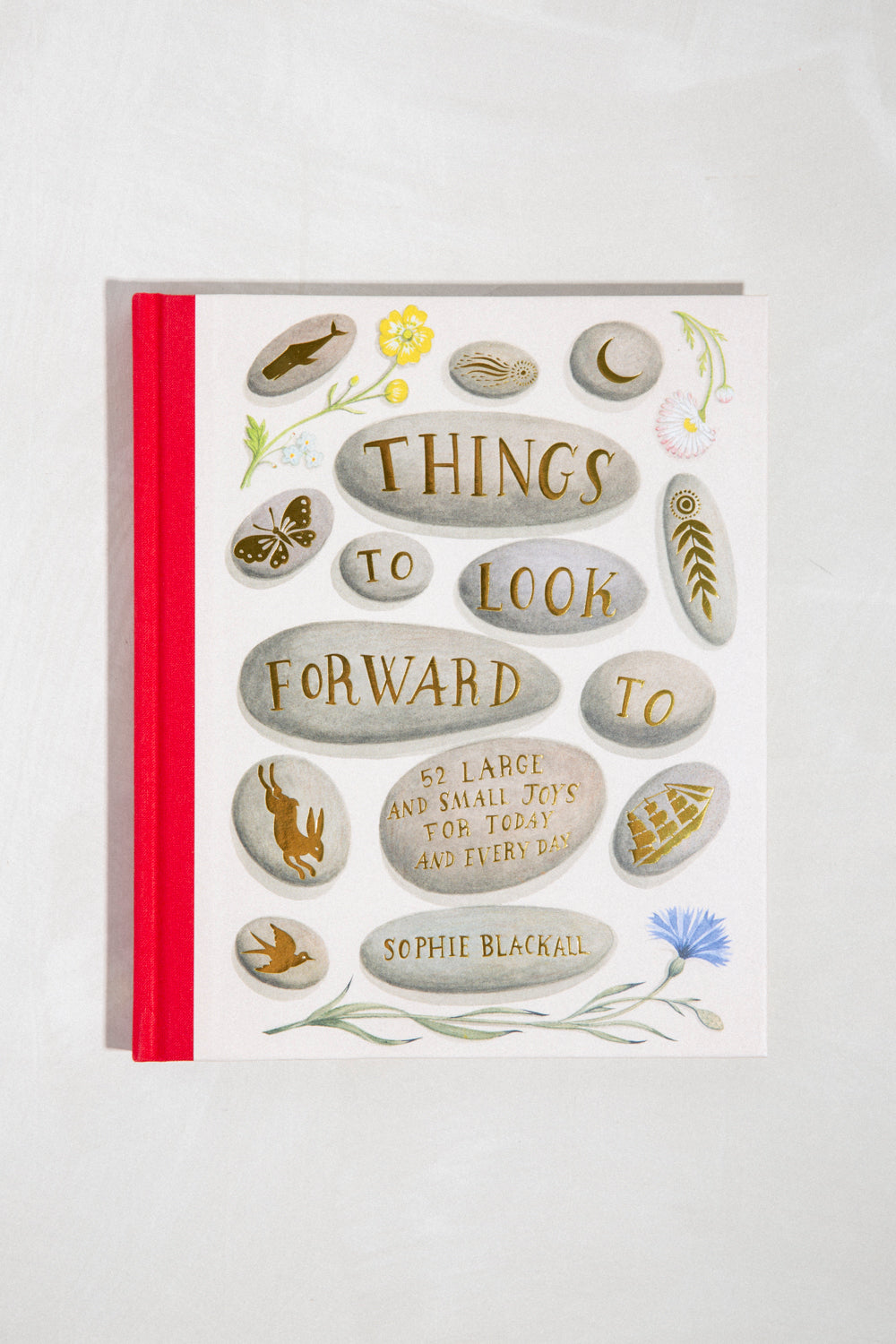 Things To Look Forward To: 52 Large and Small Joys for Today and Every Day