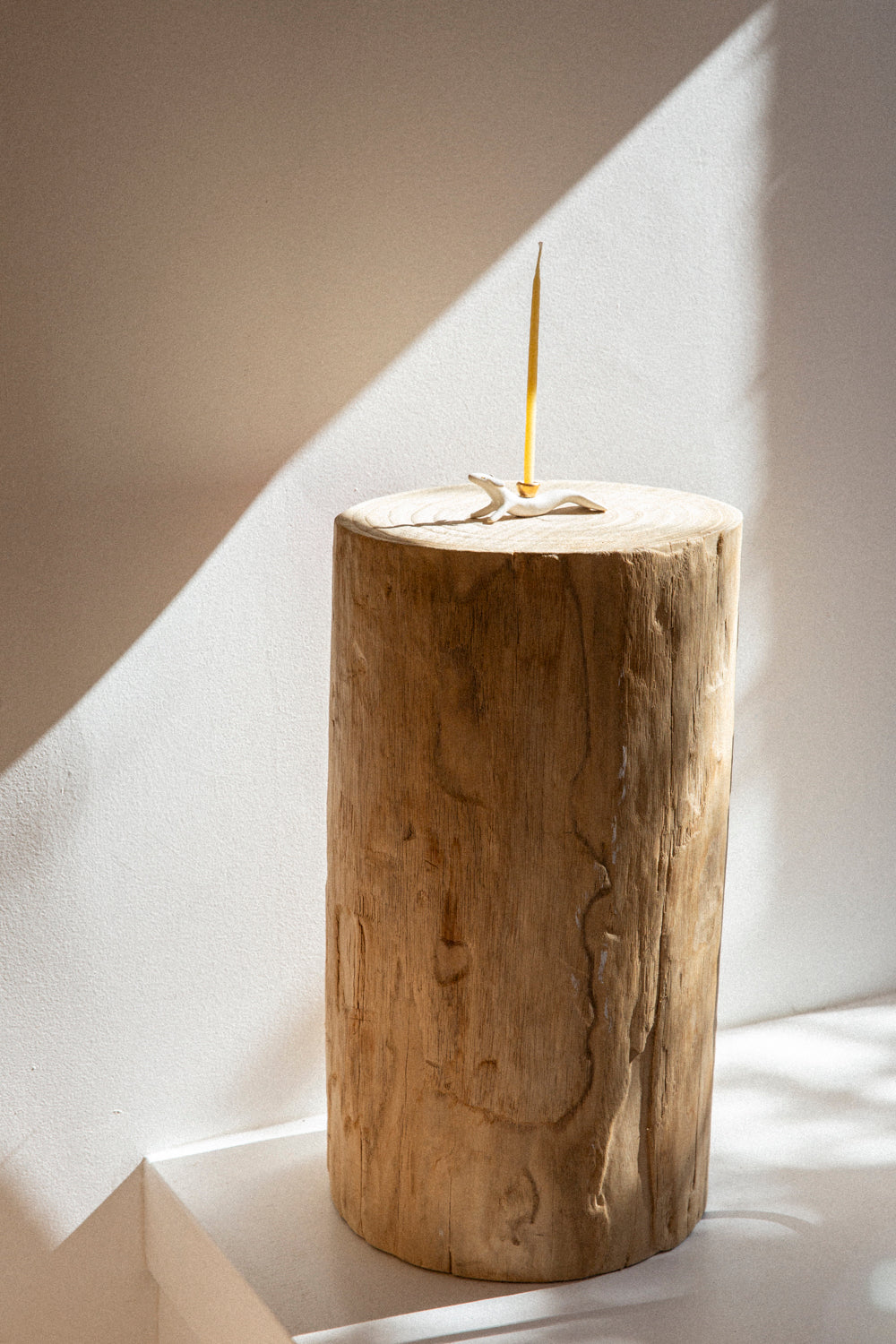 Tree Trunk Side Table
