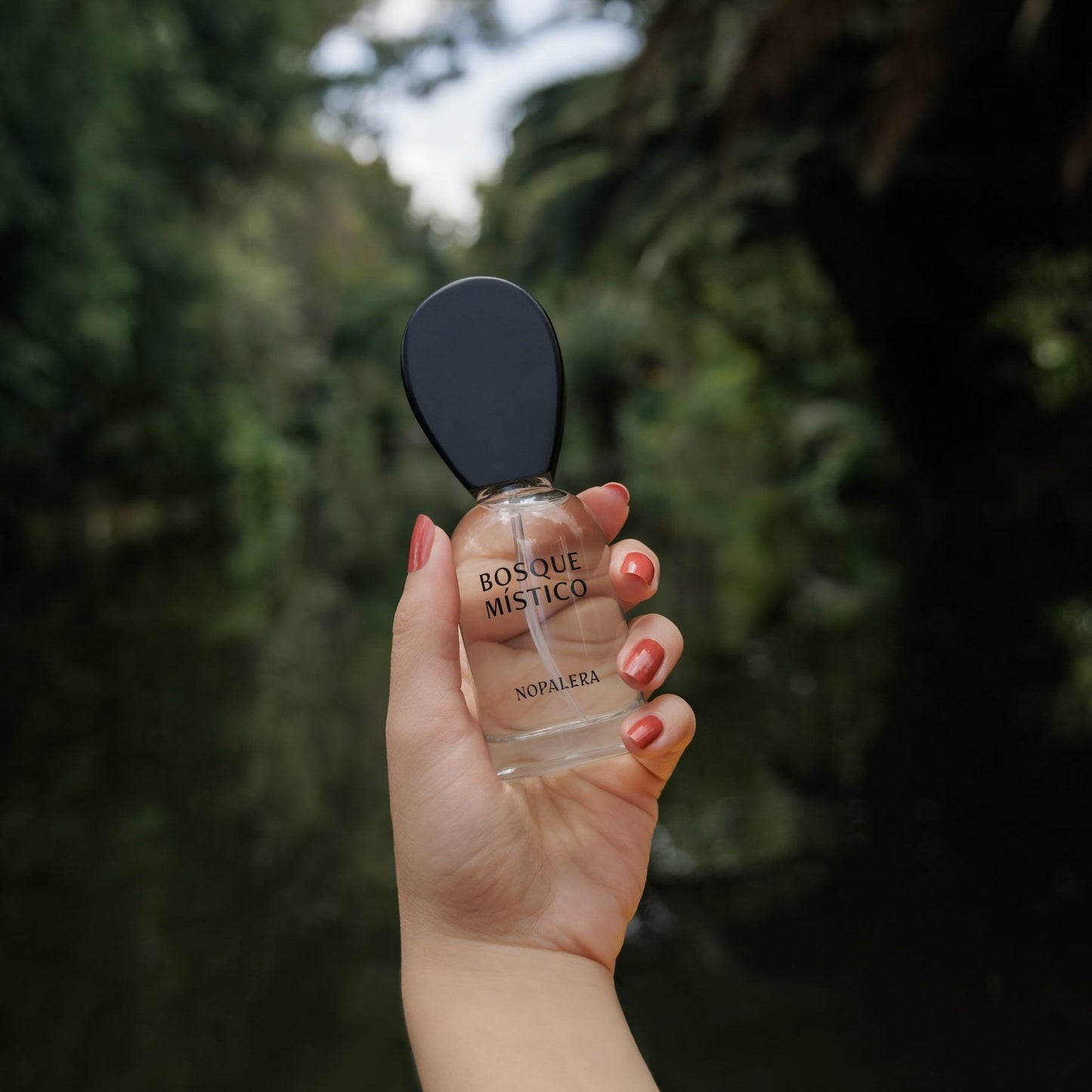 50ml Eau De Parfum