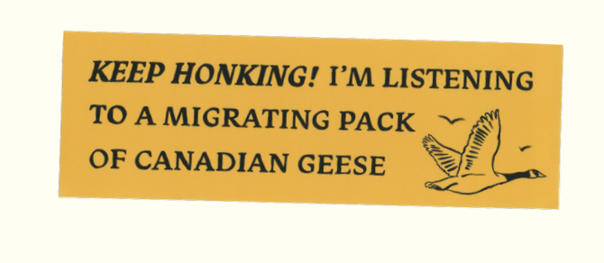 Bumper Stickers