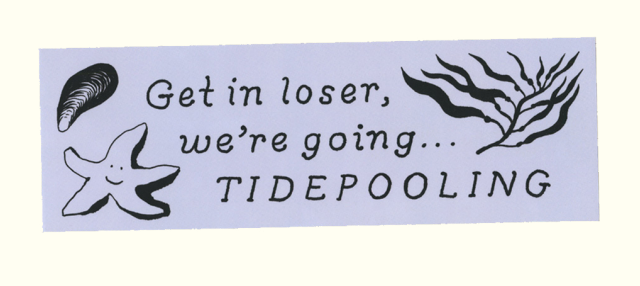 Bumper Stickers