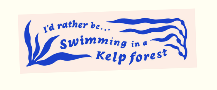 Bumper Stickers