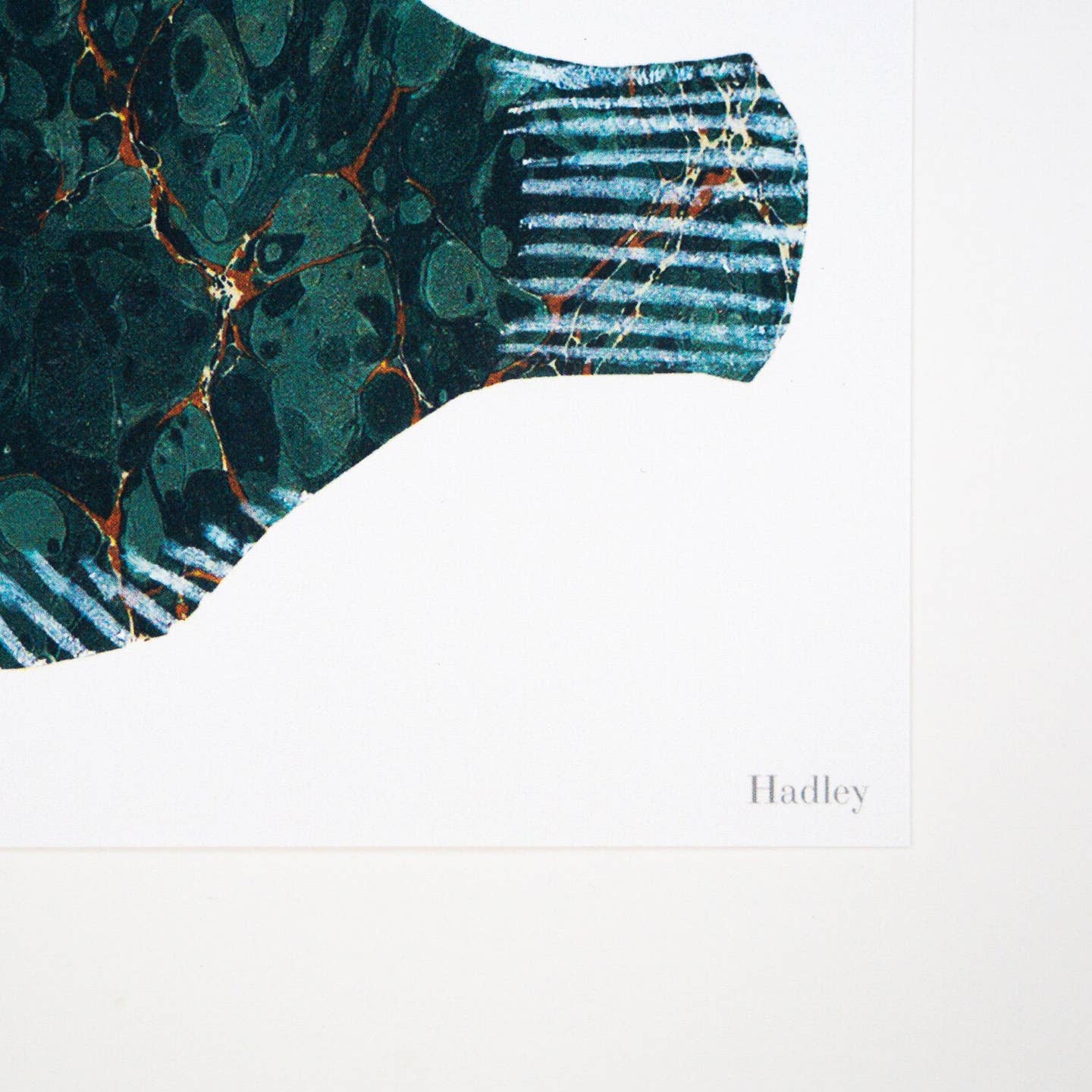 Little Fish Print