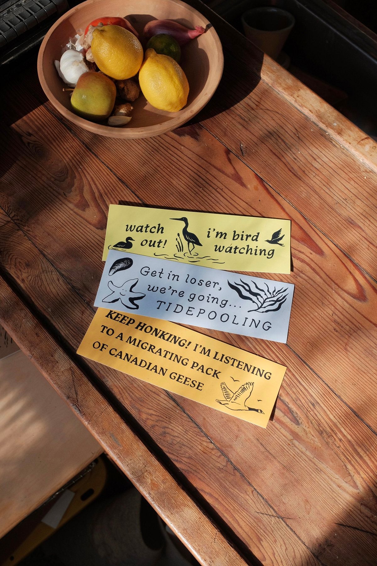 Bumper Stickers