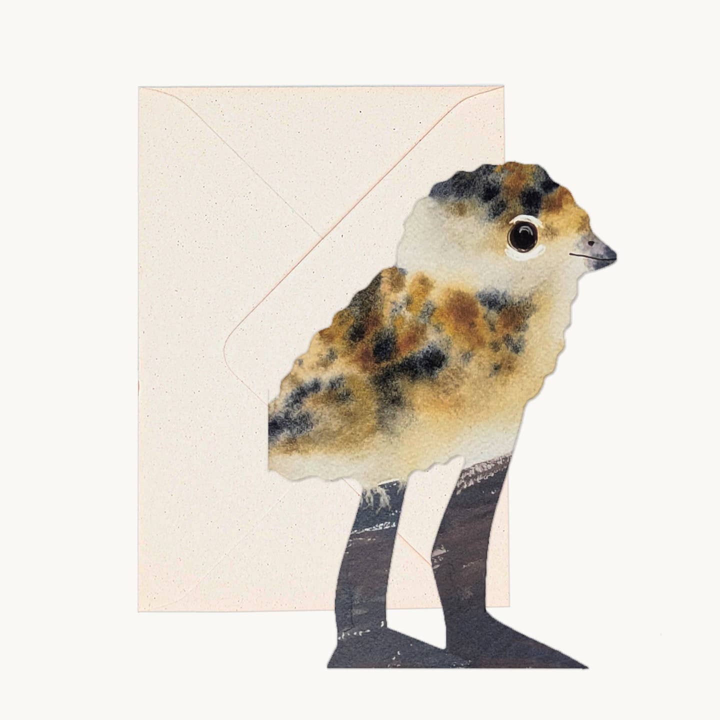 Lapwing Chick Greeting Card