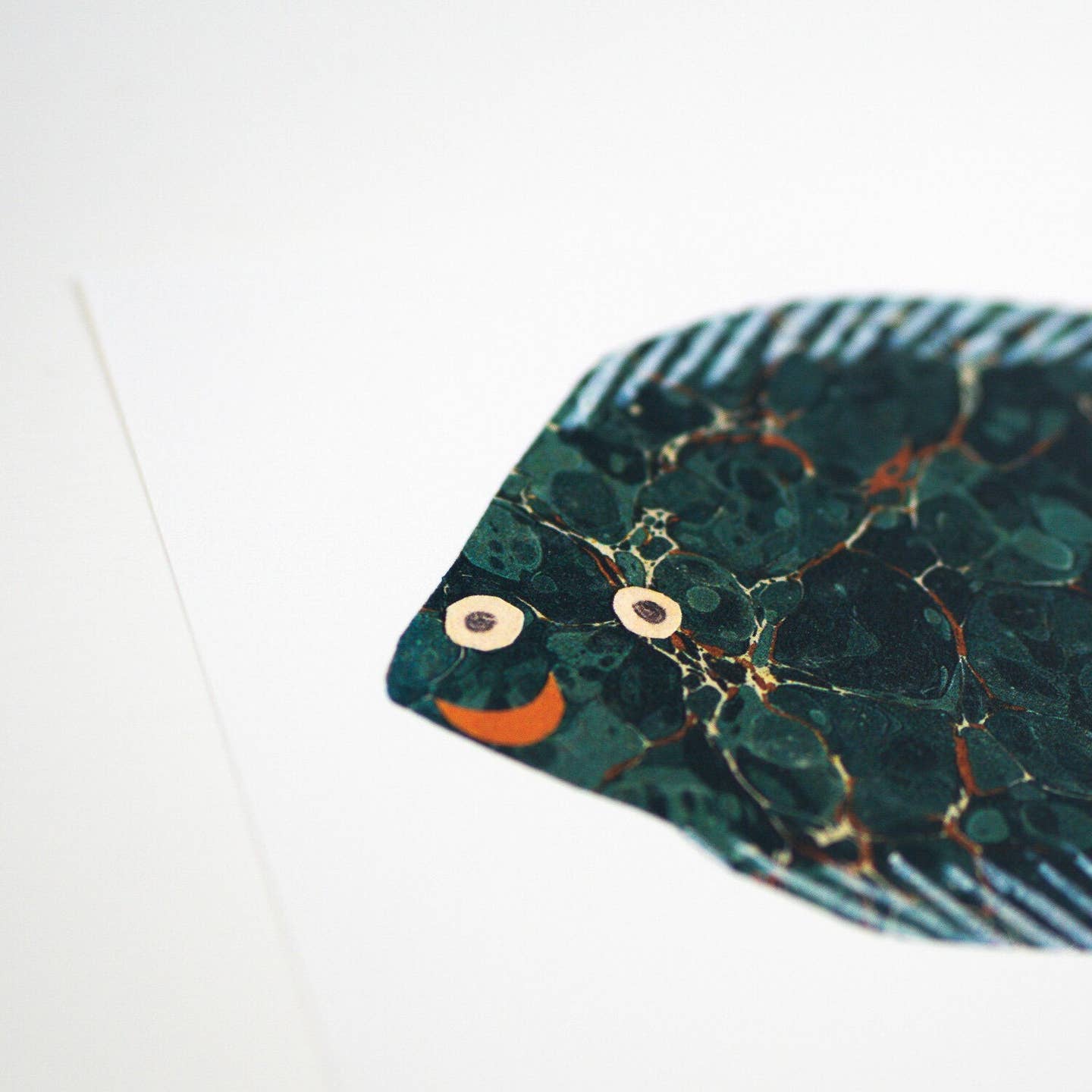 Little Fish Print