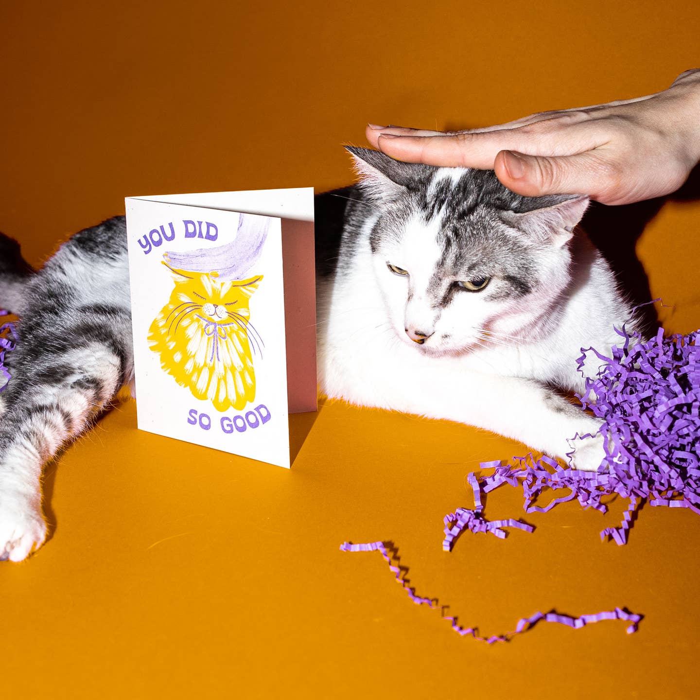 Did So Good Cat Greeting Card