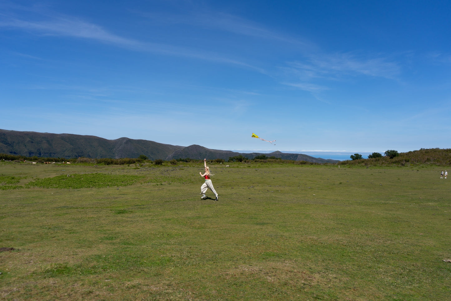 Pocket Kite