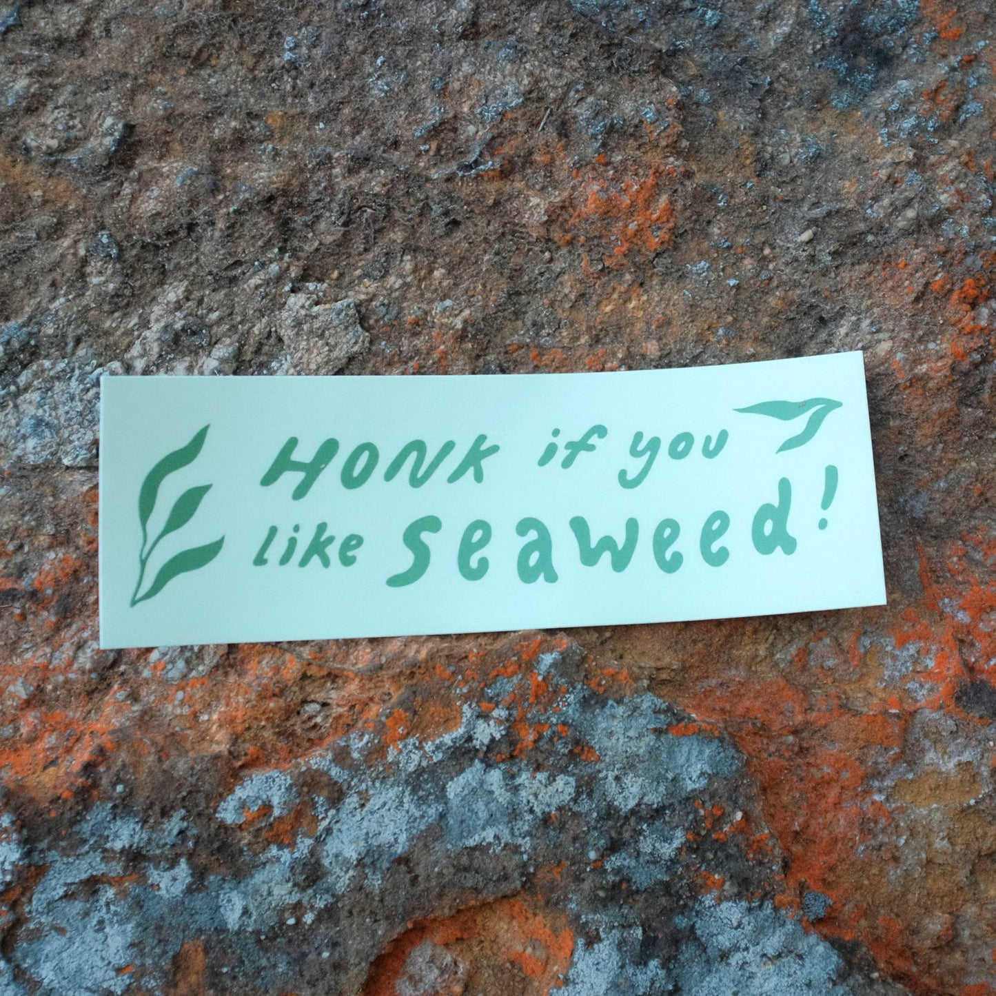 Bumper Stickers