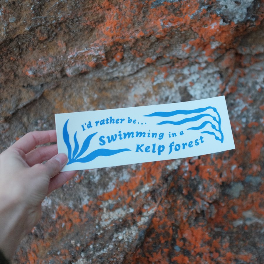 Bumper Stickers