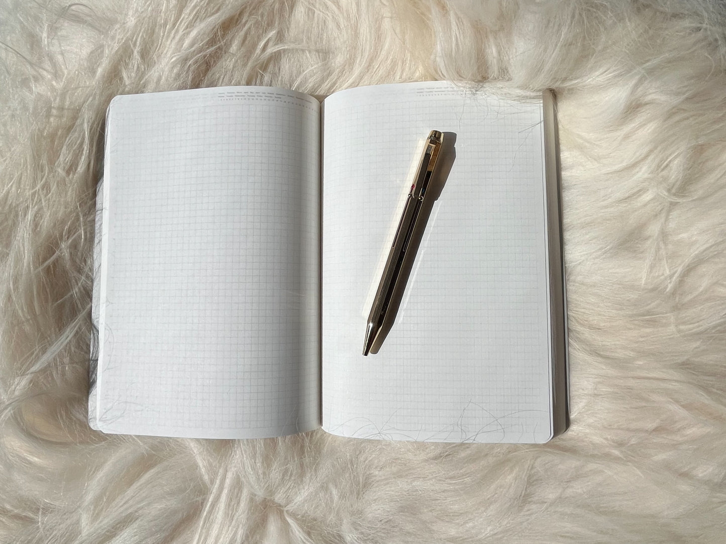365 Days Notebook