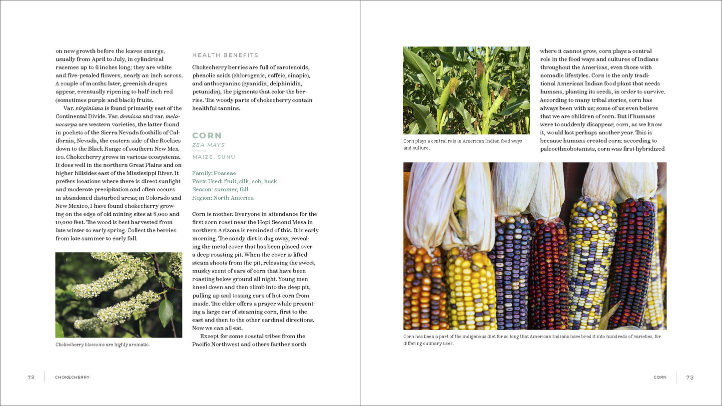 Iwígara: American Indian Ethnobotanical Traditions and Science