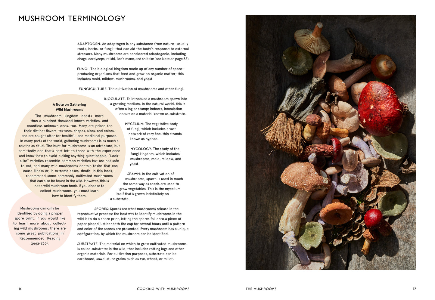 Cooking With Mushrooms