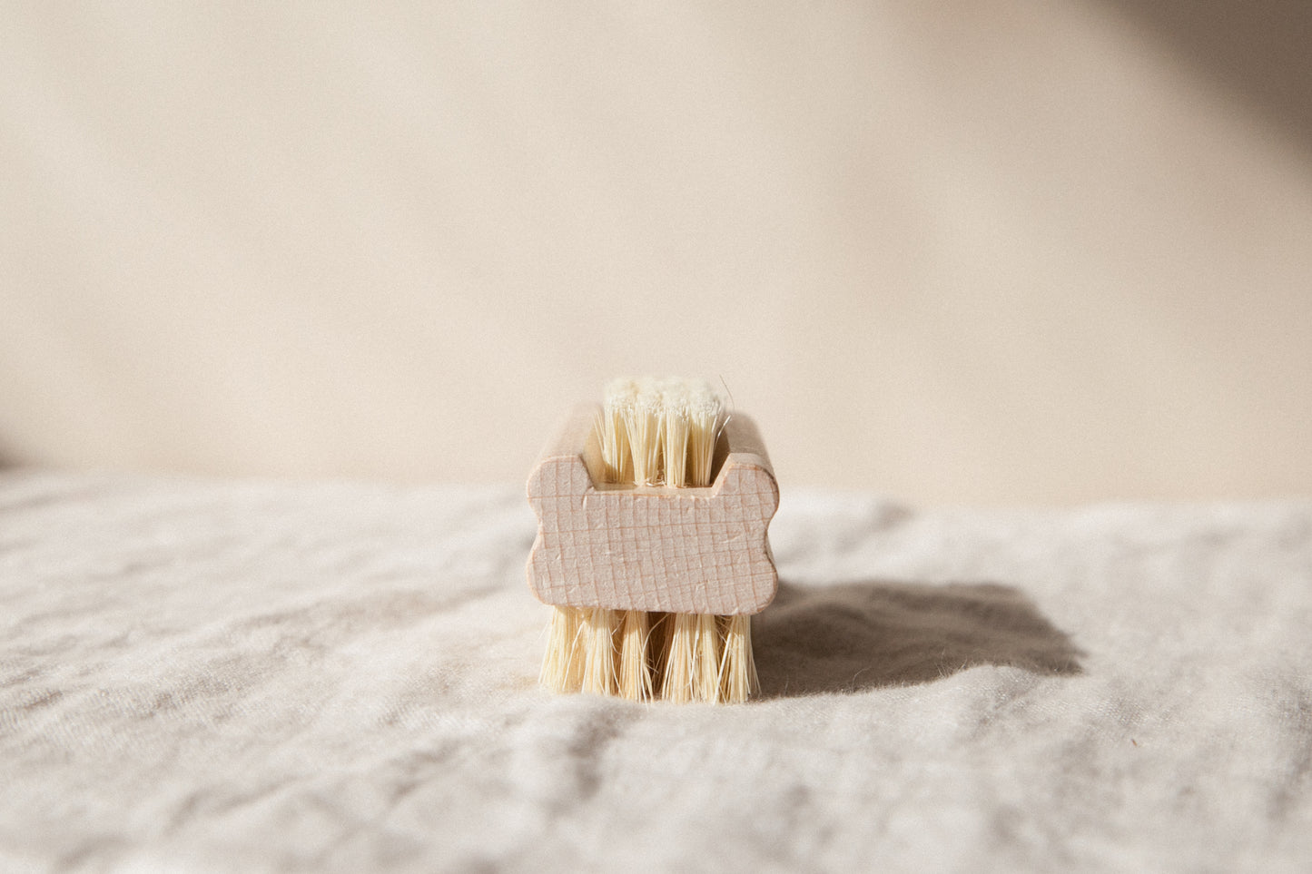 Double Sided Nail Brush