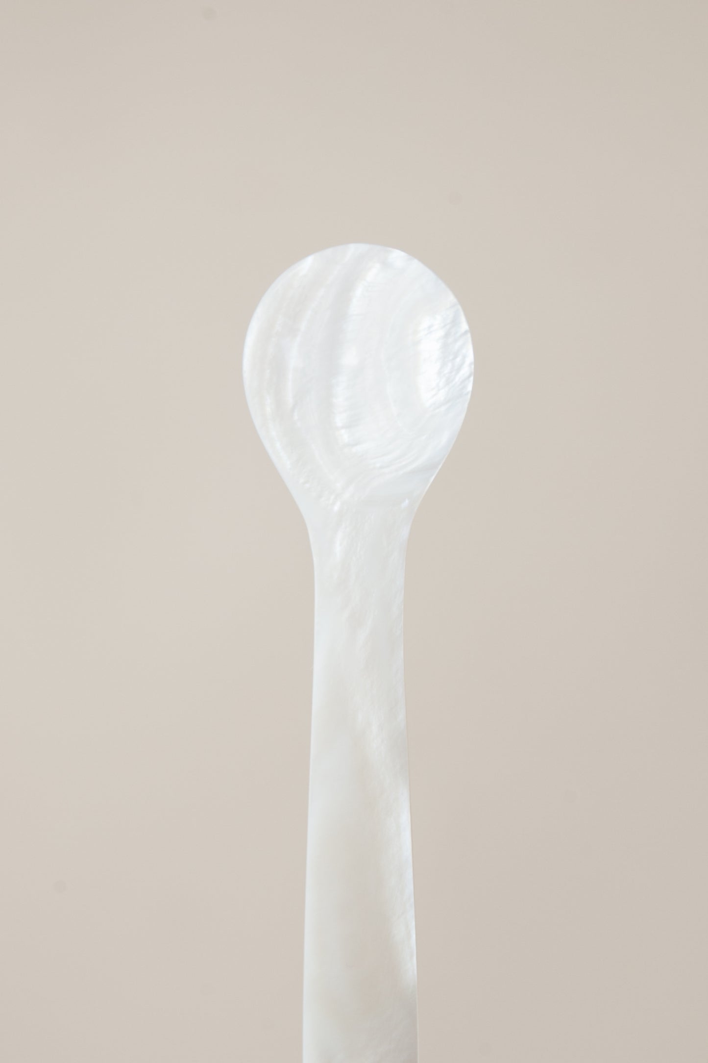Seashell Dessert Spoon