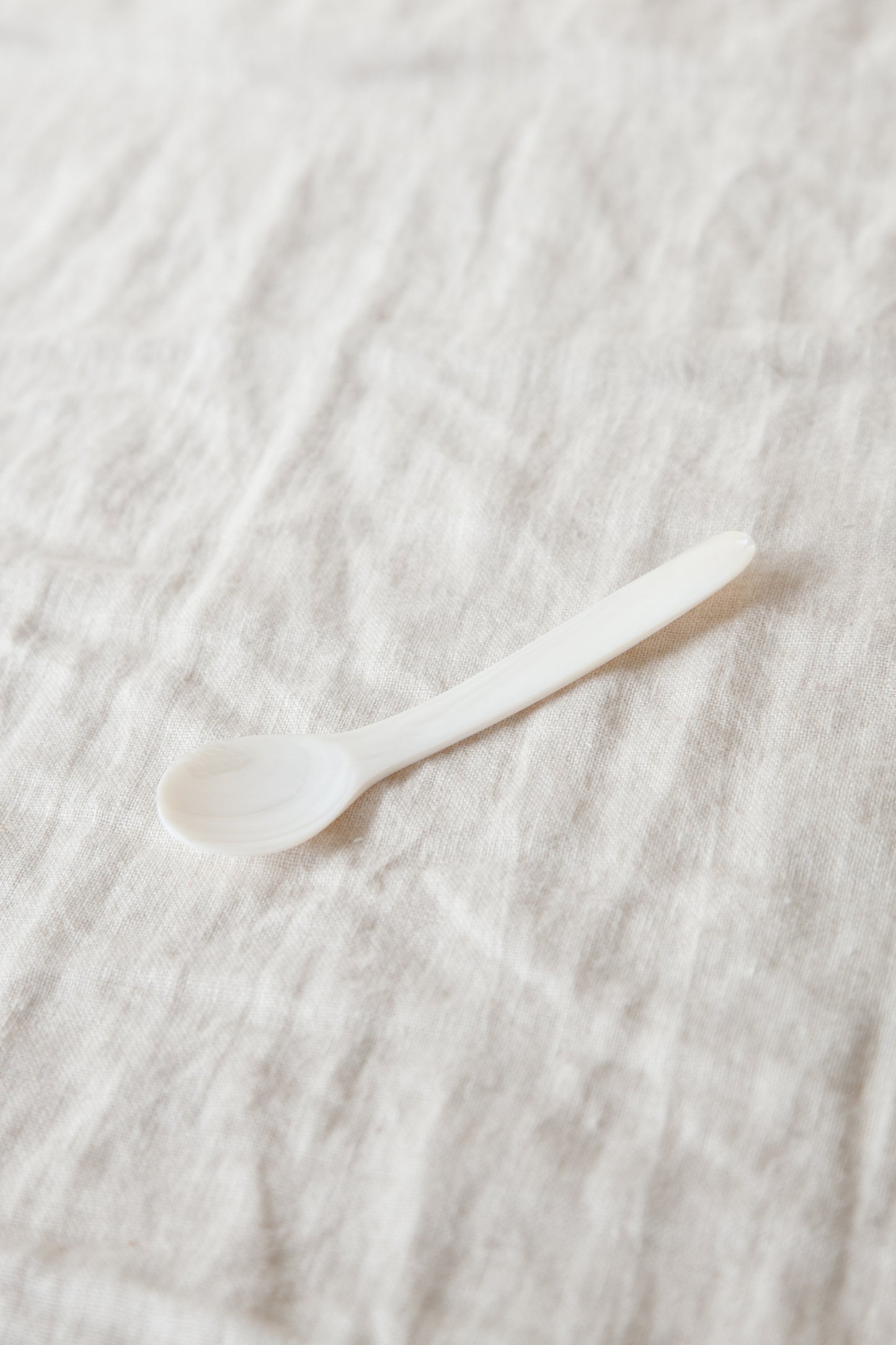 Seashell Dessert Spoon