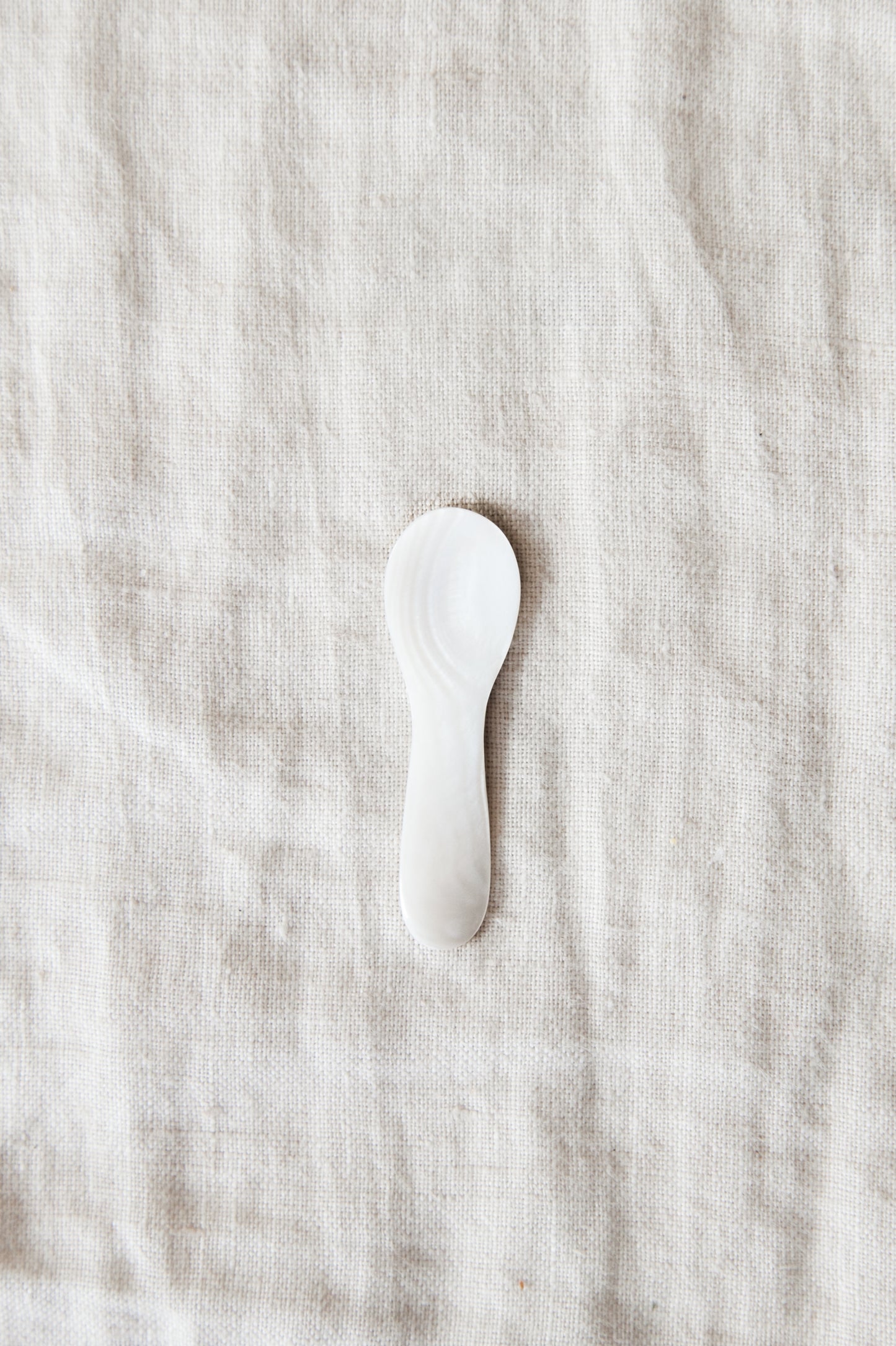 Seashell Salt Spoon