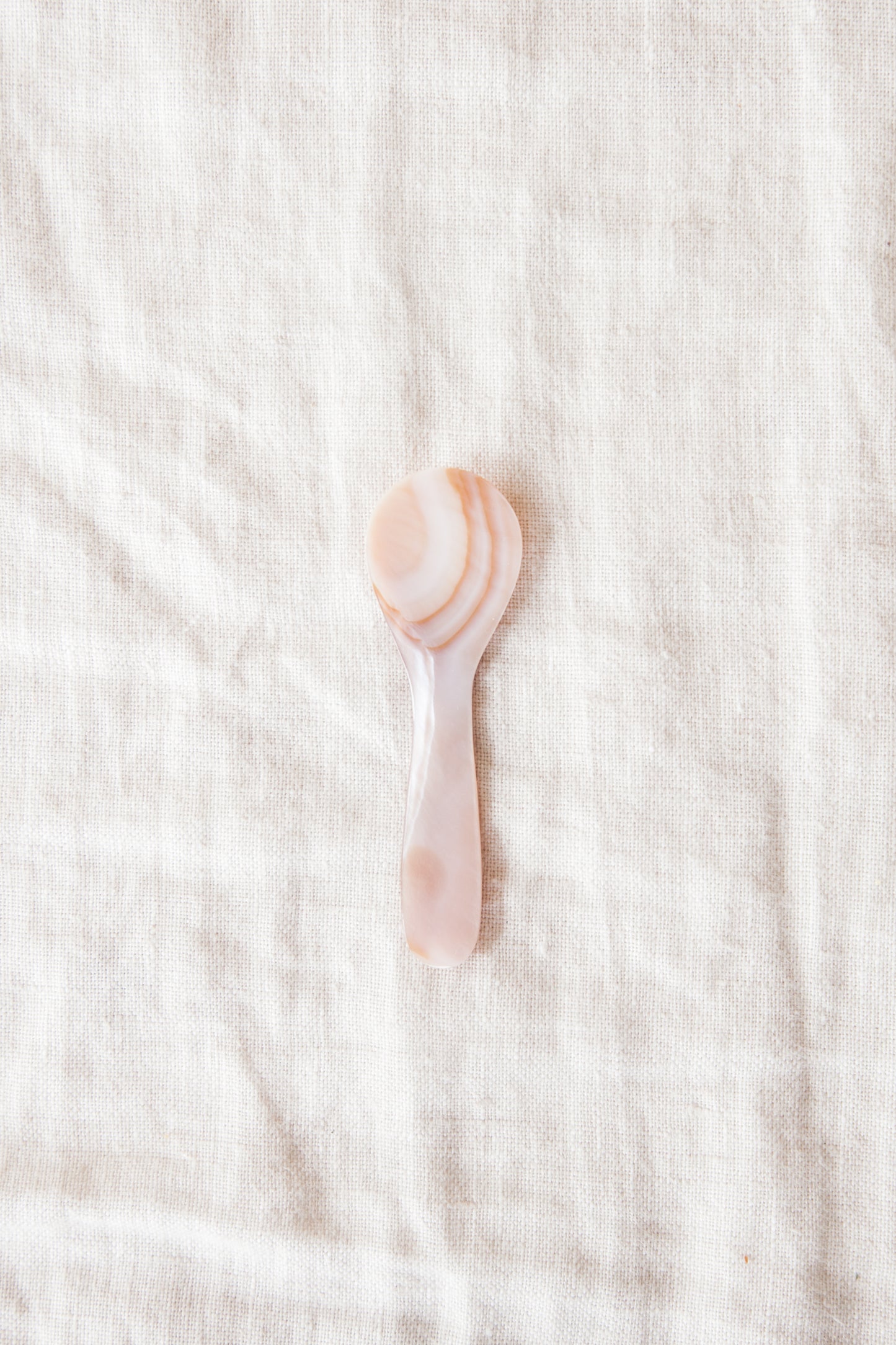 Seashell Salt Spoon