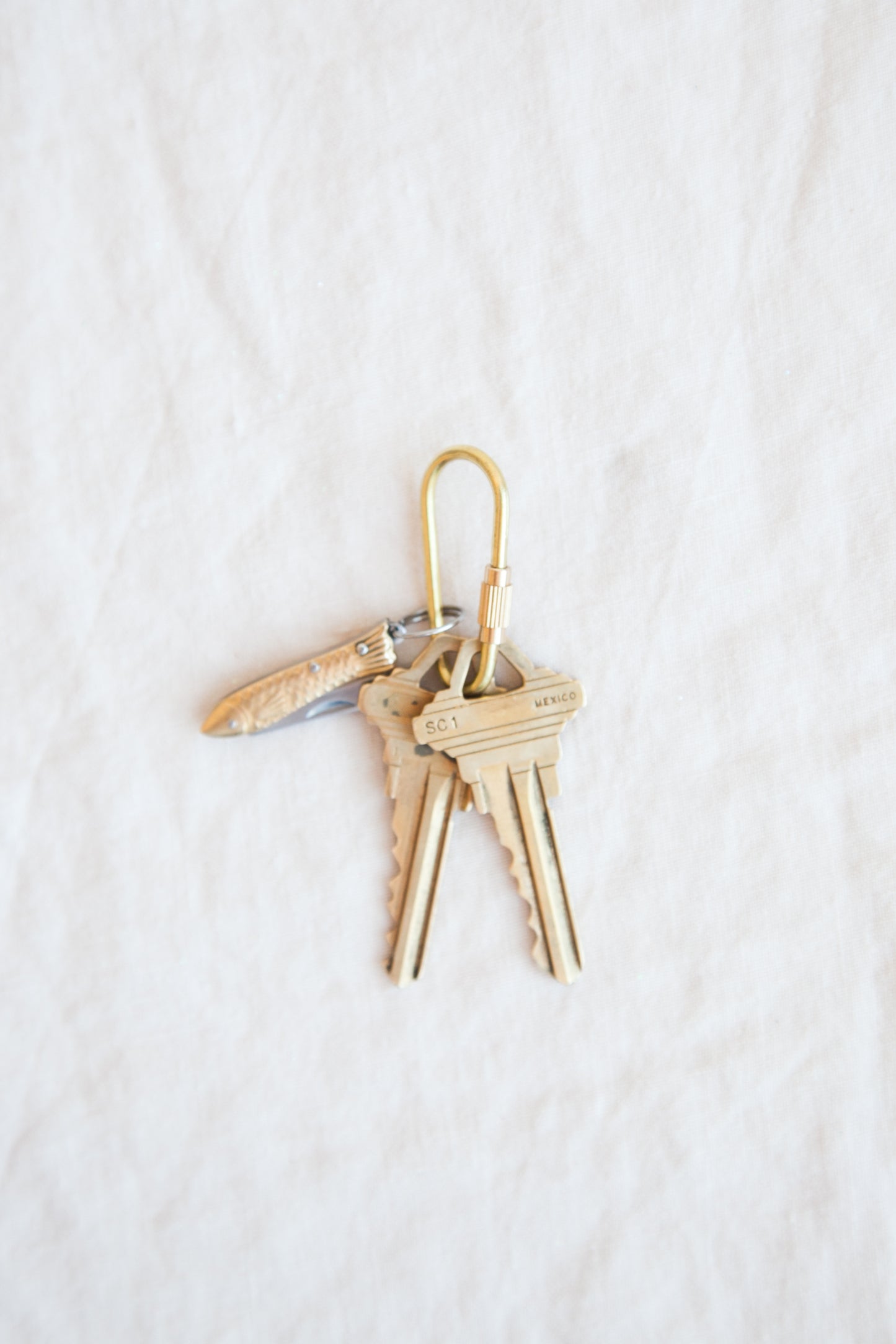 Brass Key Ring