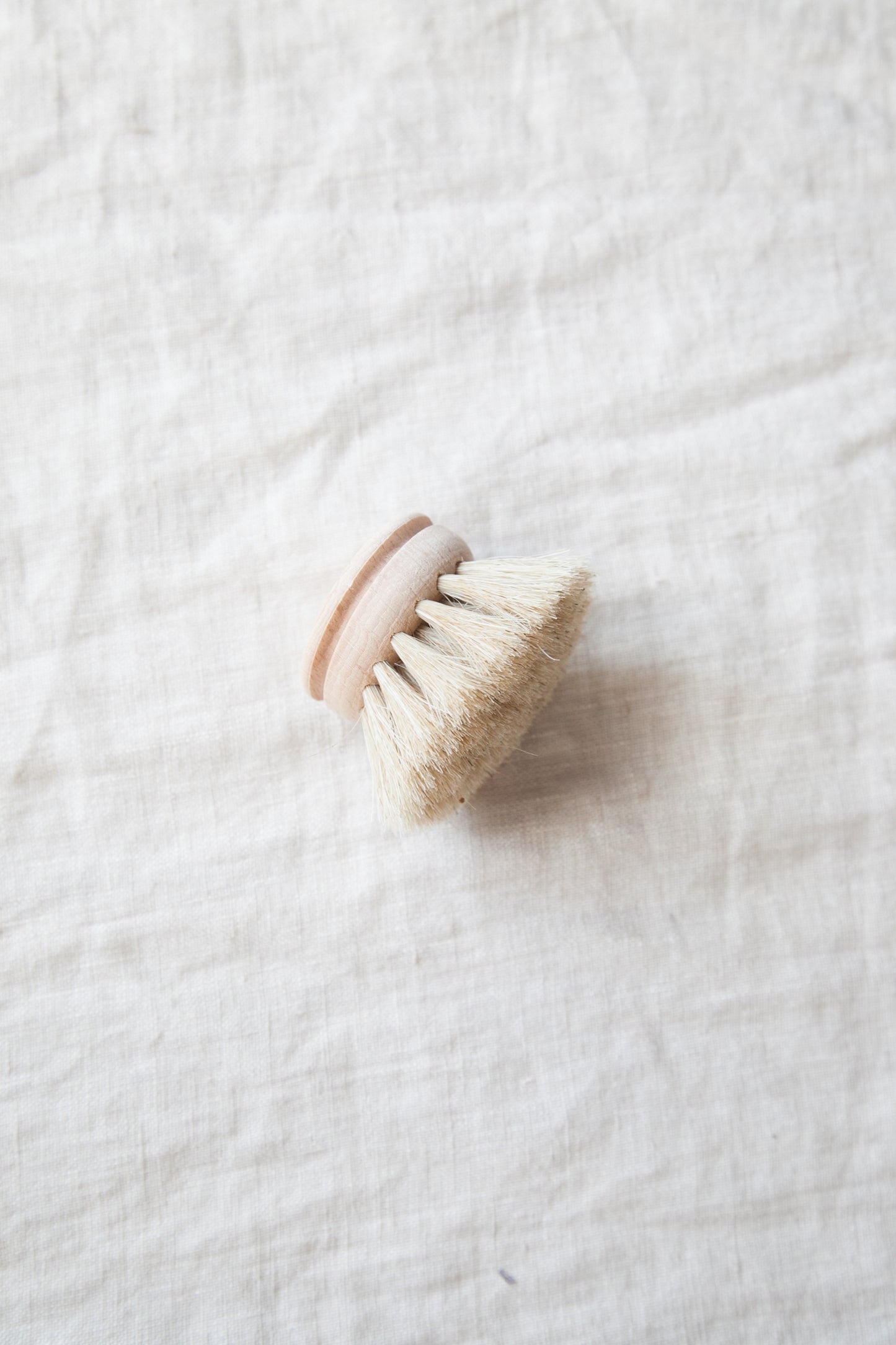 Dish Brush Refill
