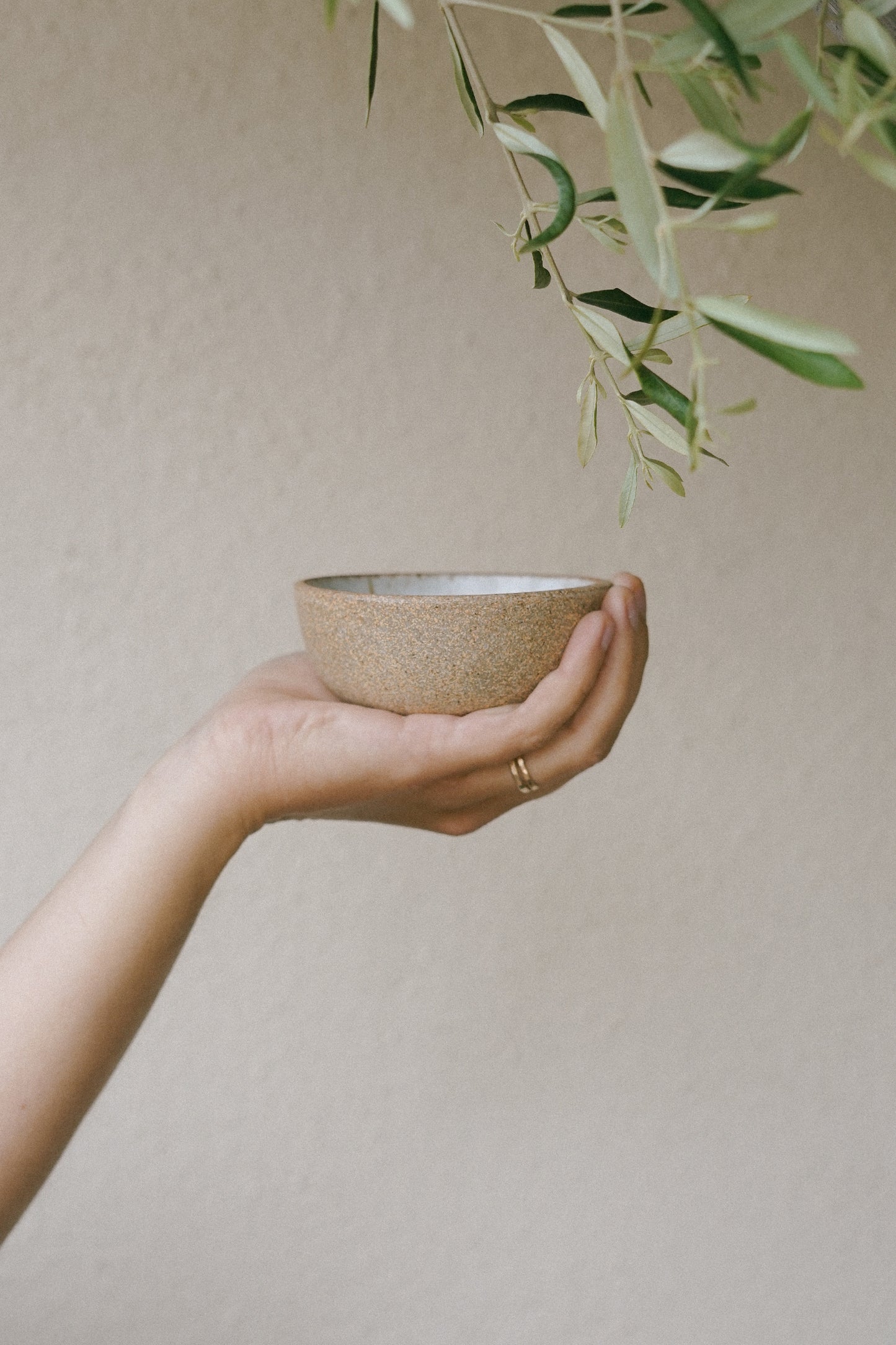 Sauce Bowl / Dune