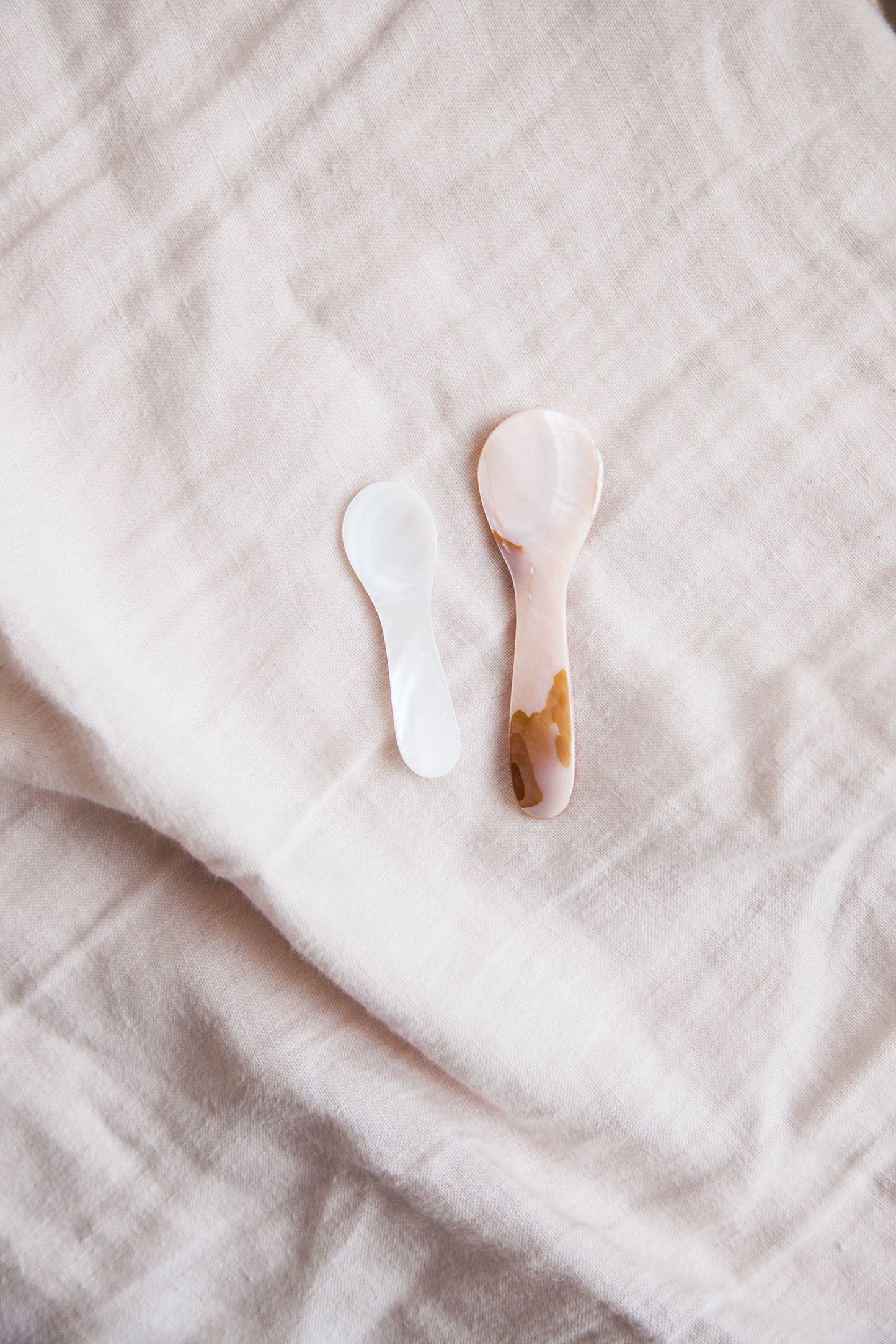 Seashell Salt Spoon
