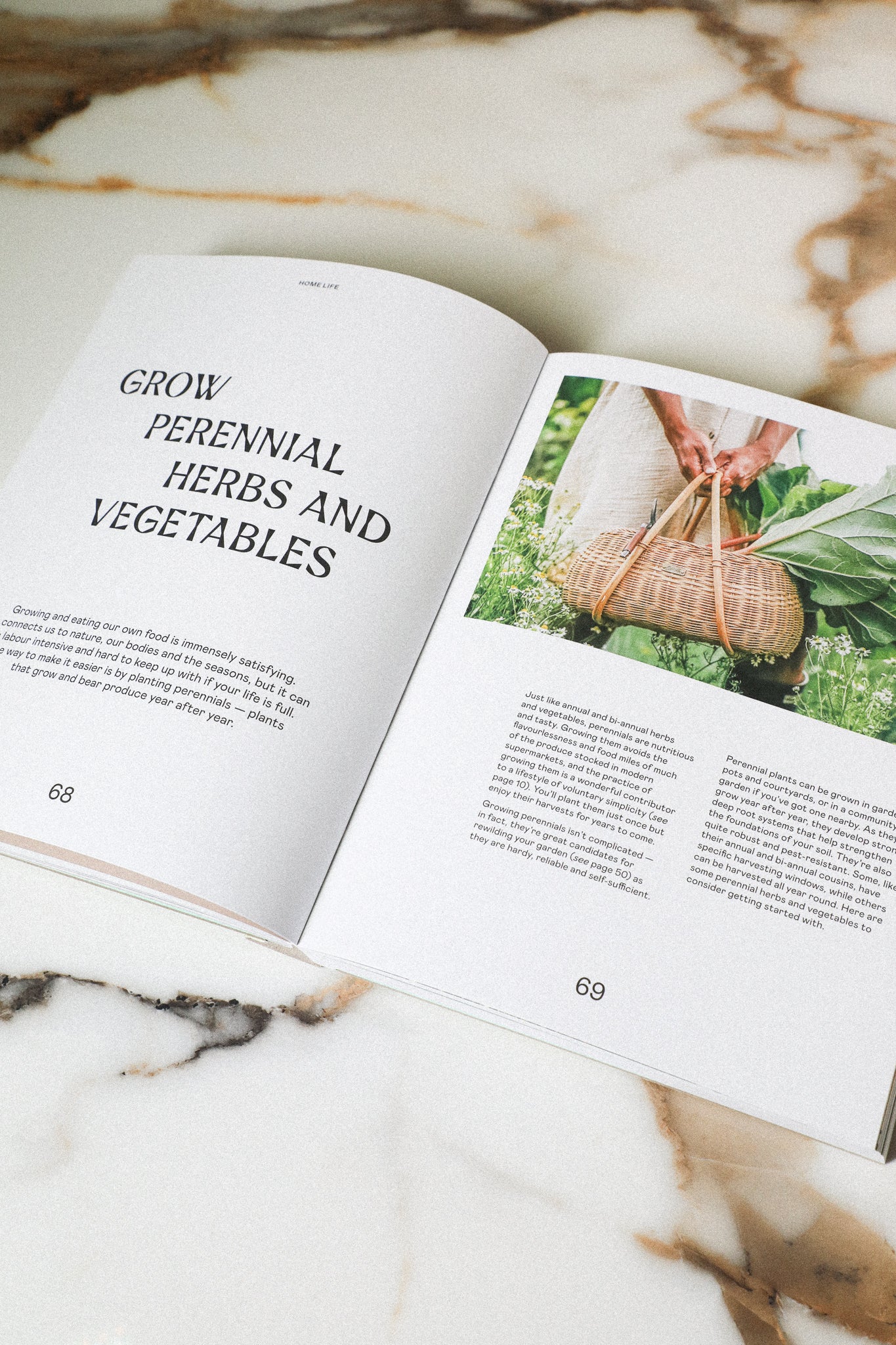 Wild Life: 50 Projects to Rewild Your Life from the Home to Outdoors