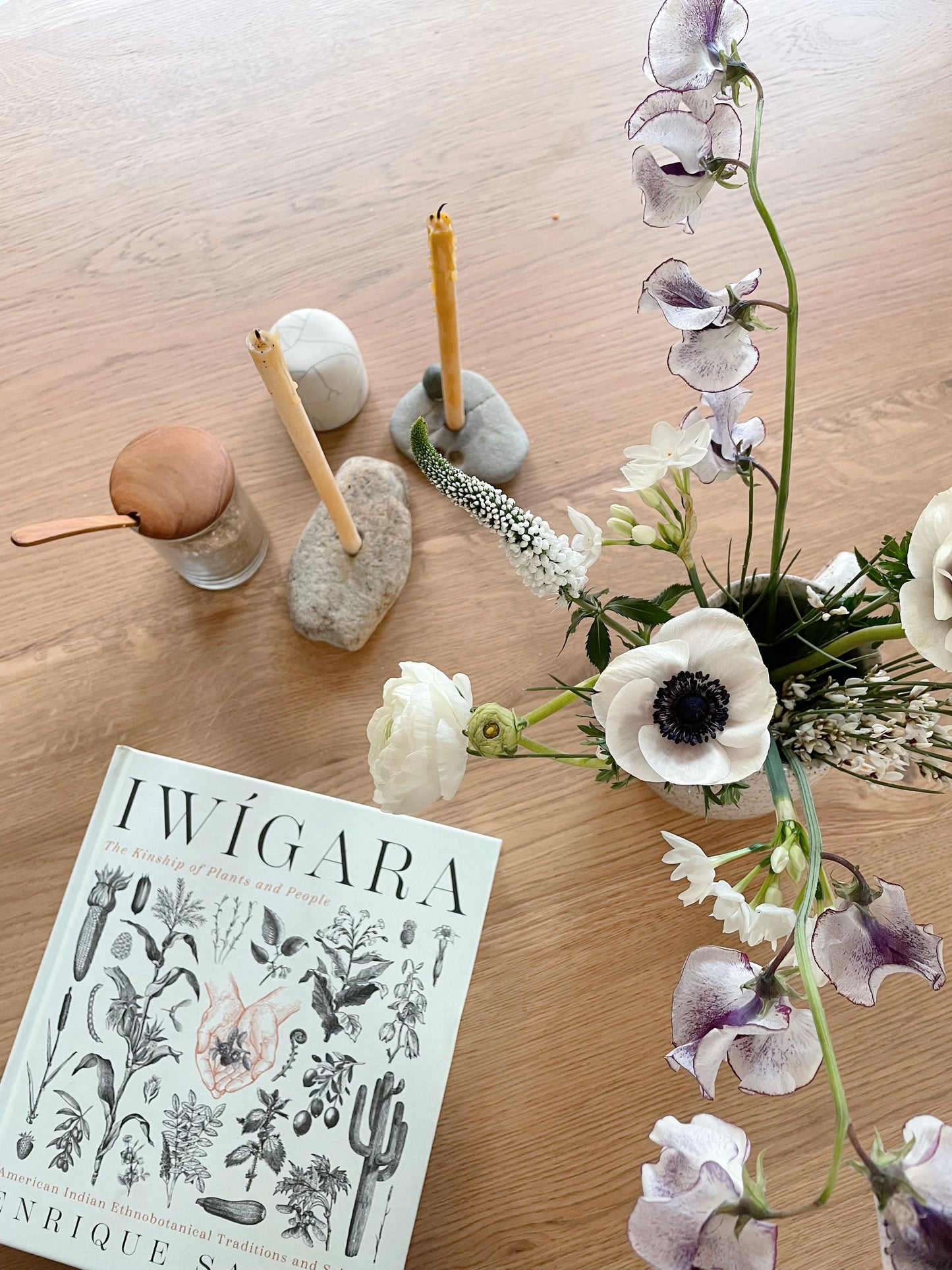 Iwígara: American Indian Ethnobotanical Traditions and Science