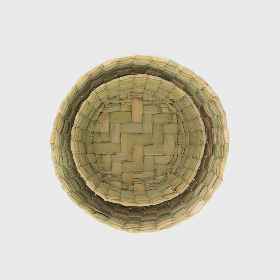 Coconut Palm Basket